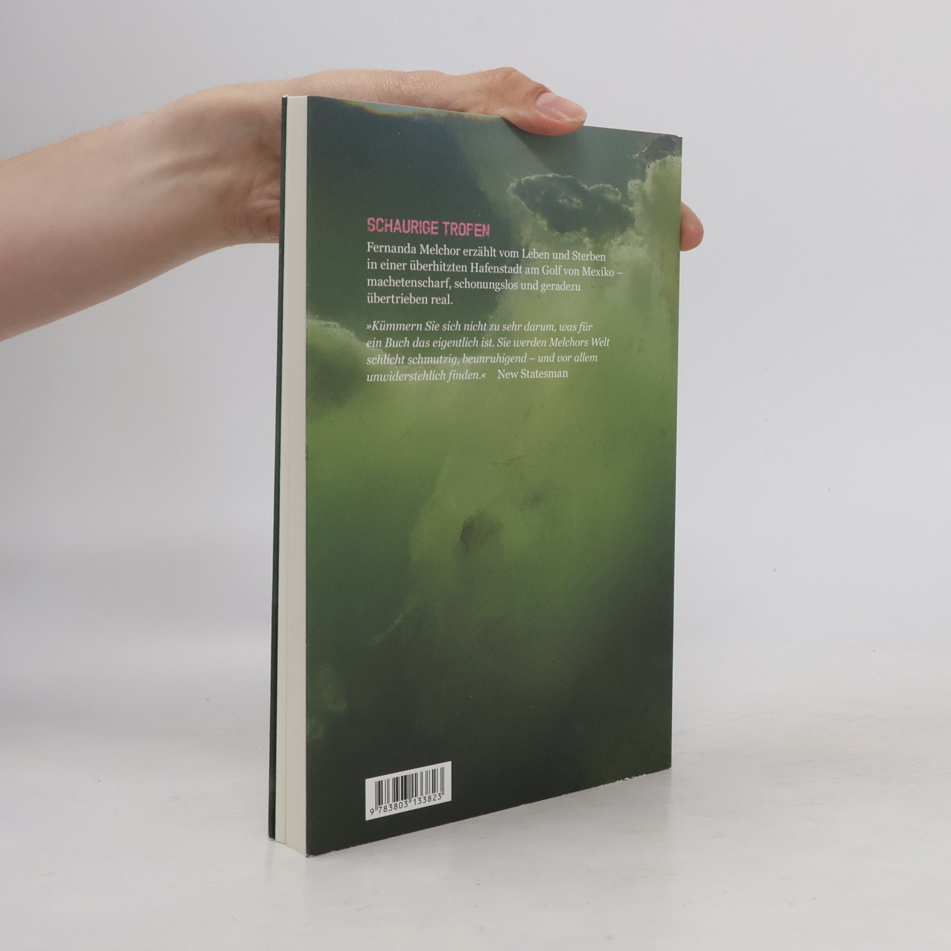 Fernanda Melchor Quartbuch: Das hier ist nicht Miami