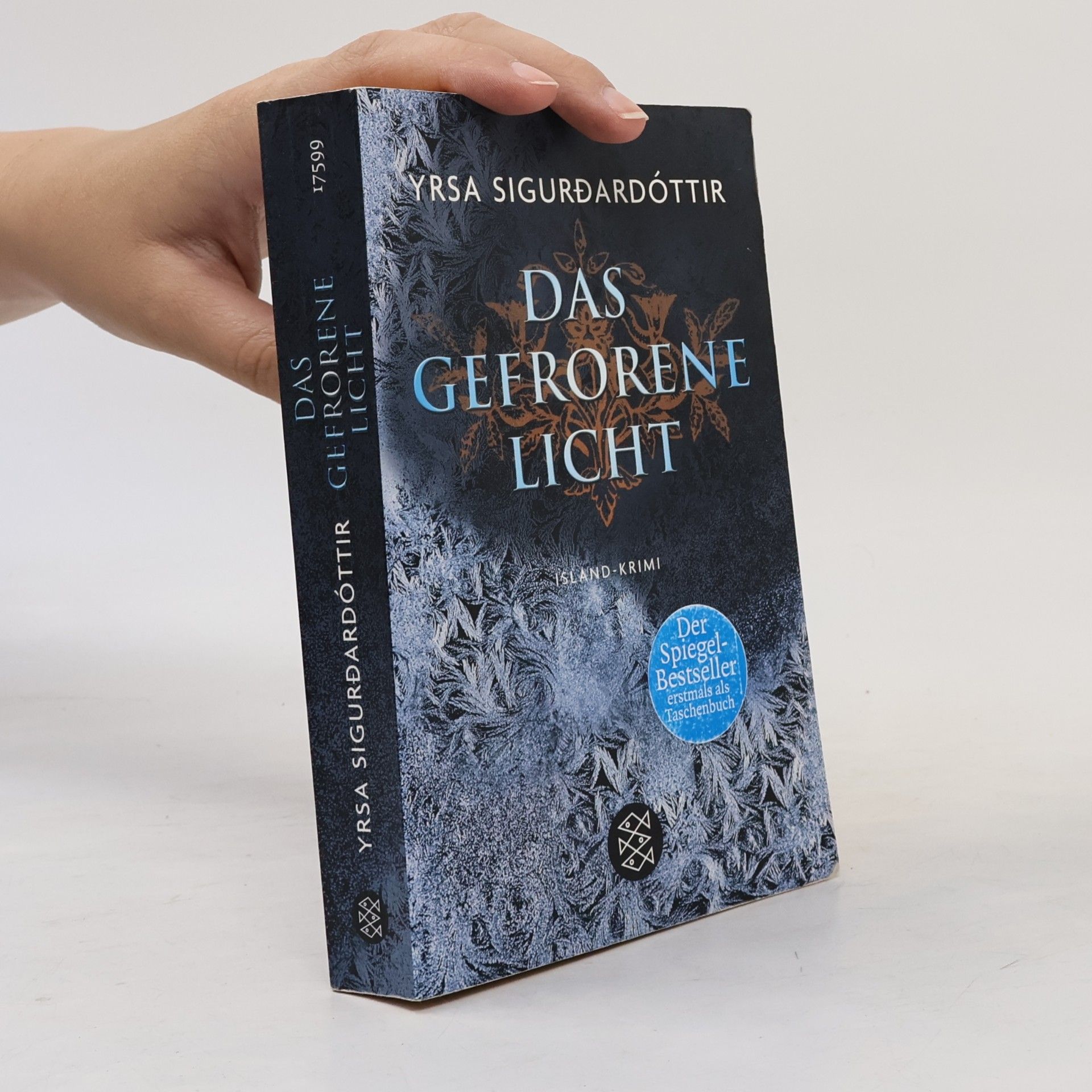 Yrsa Sigurðardóttir Das gefrorene Licht : Island - Krimi