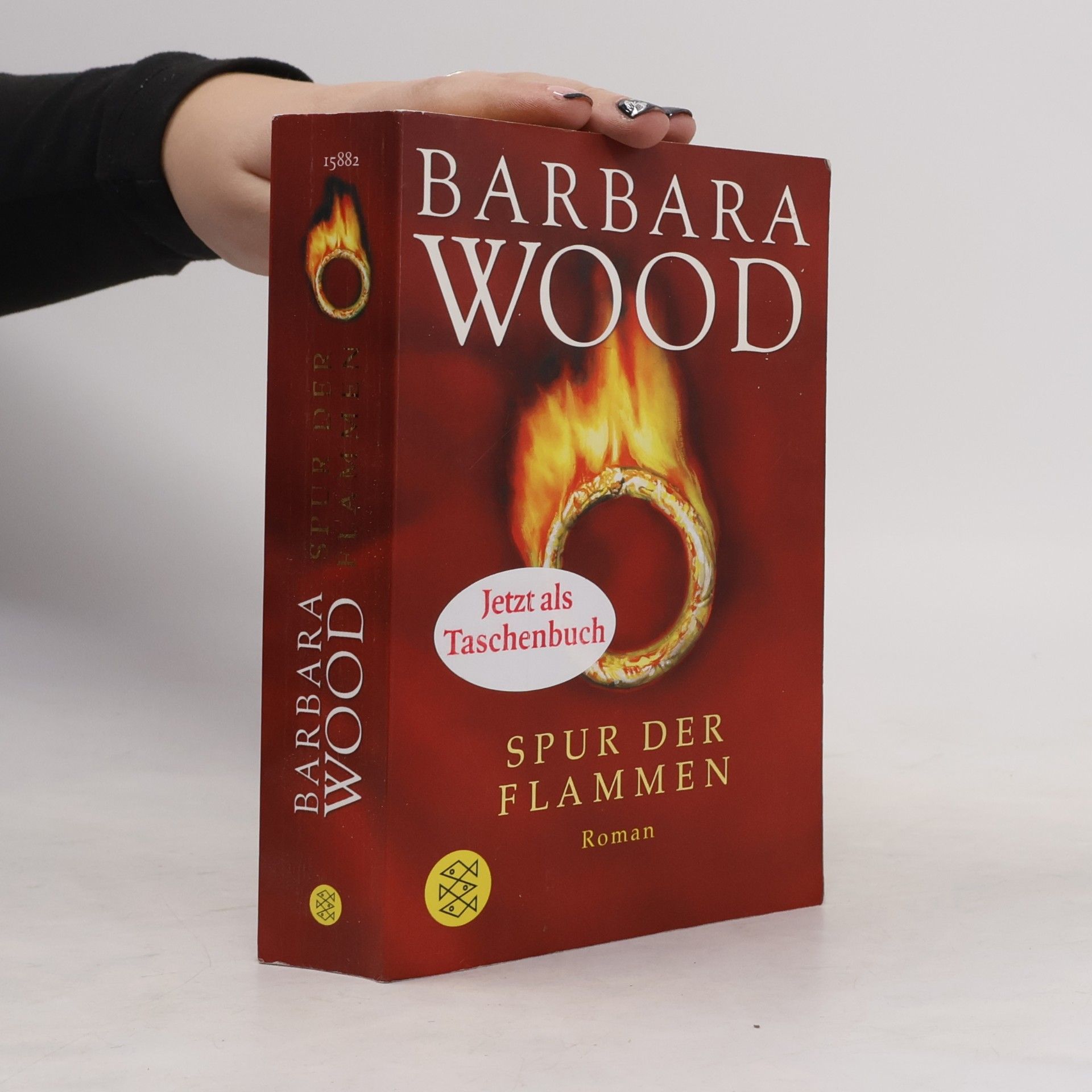 Barbara Wood Spur der Flammen