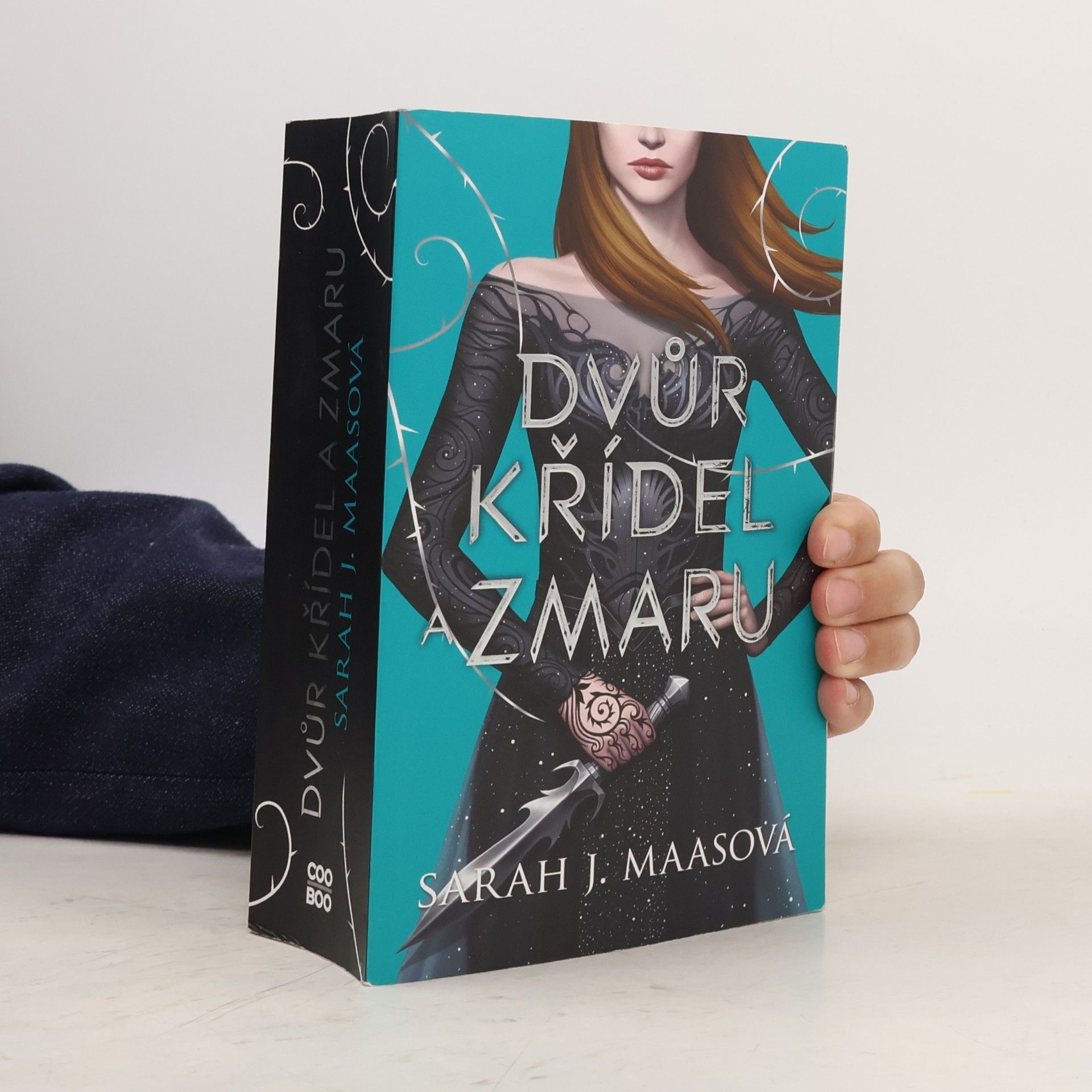 Sarah J. Maas Dvůr křídel a zmaru