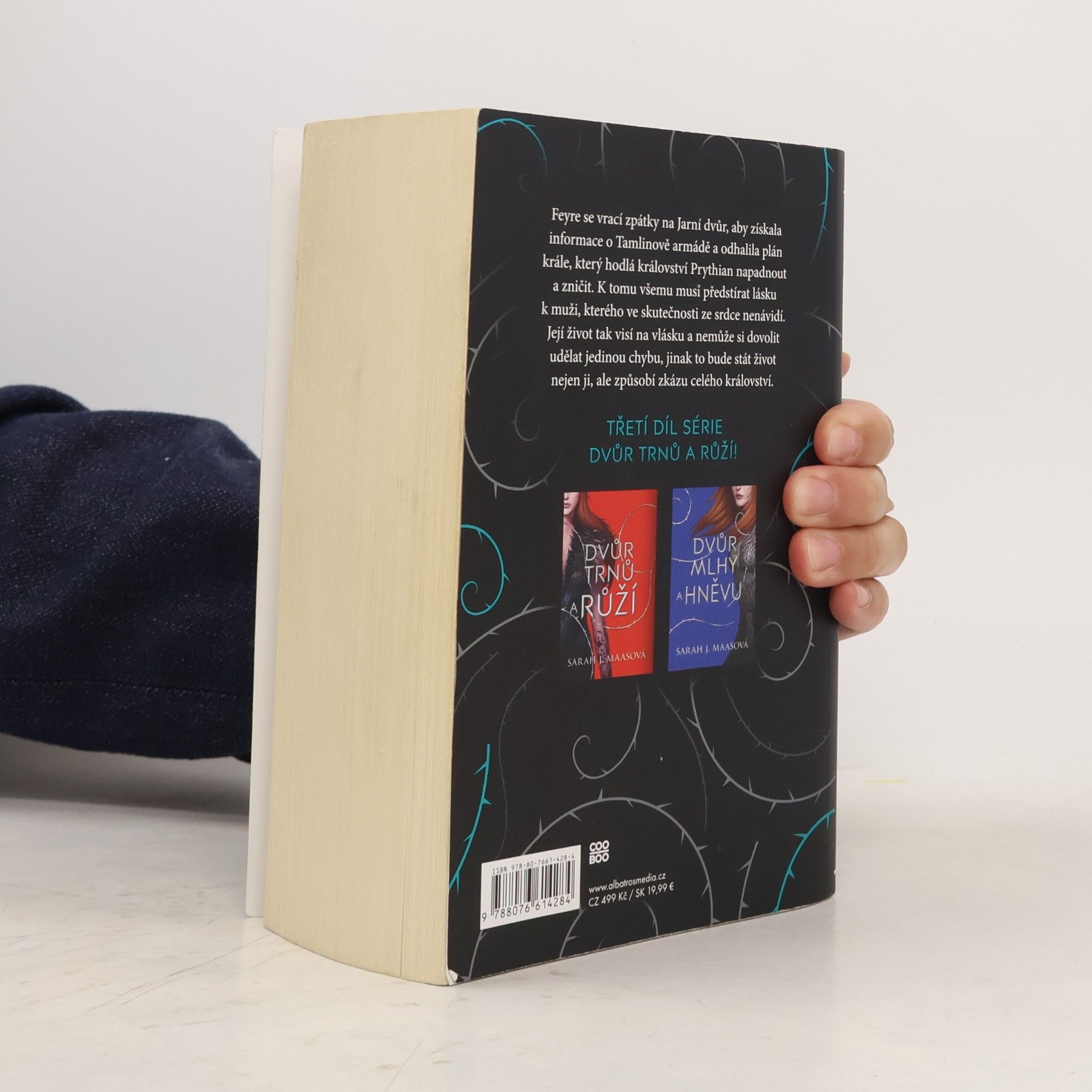 Sarah J. Maas Dvůr křídel a zmaru