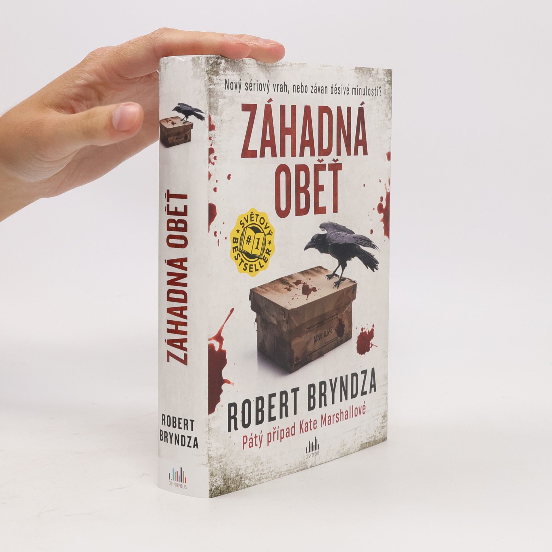 Robert Bryndza Záhadná oběť