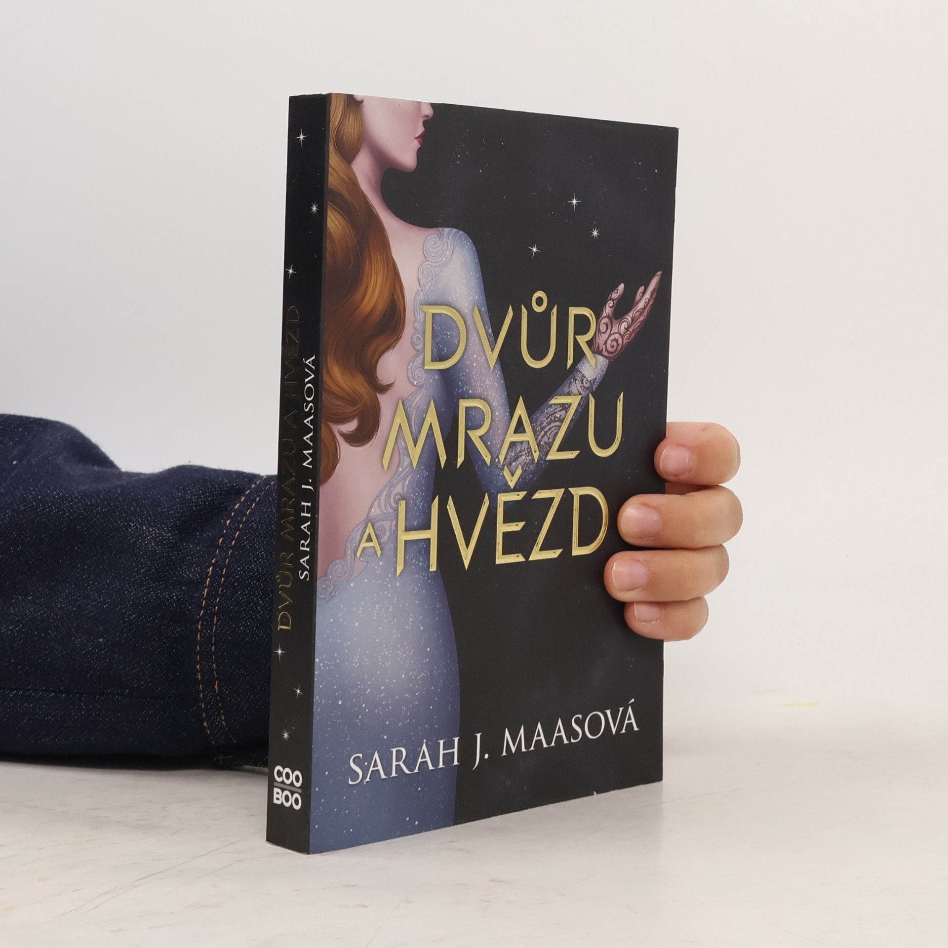 Sarah J. Maas Dvůr mrazu a hvězd
