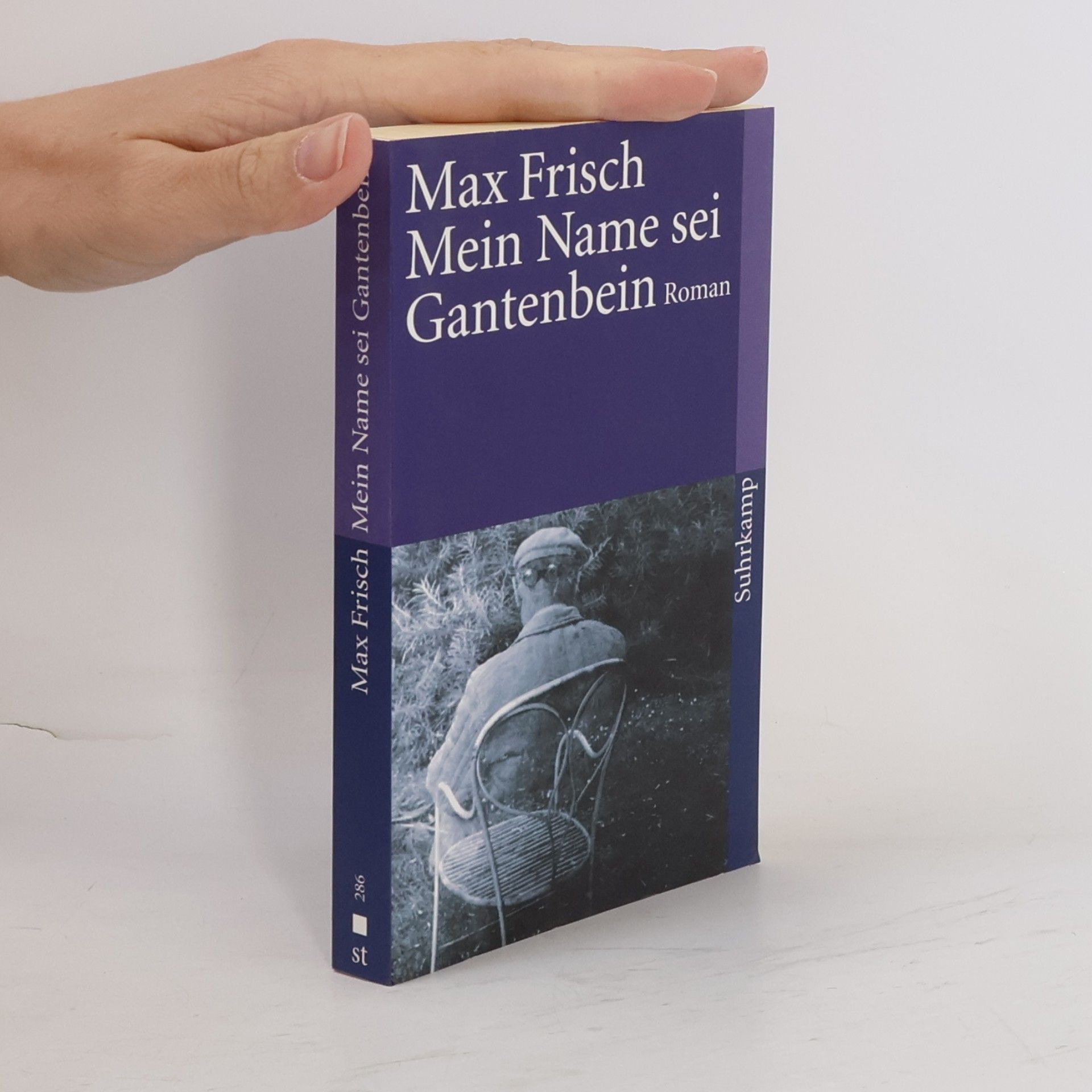 Max Frisch Mein Name sei Gantenbein