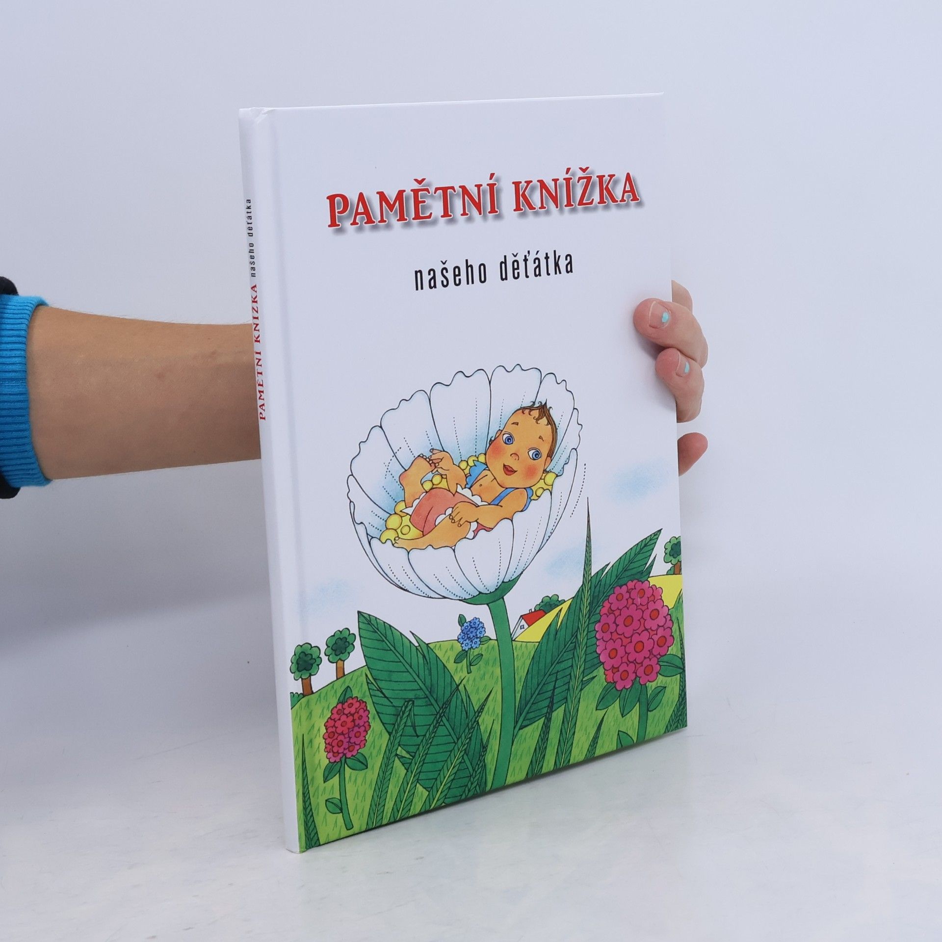 Autorenkollektiv Pamětní knížka našeho děťátka