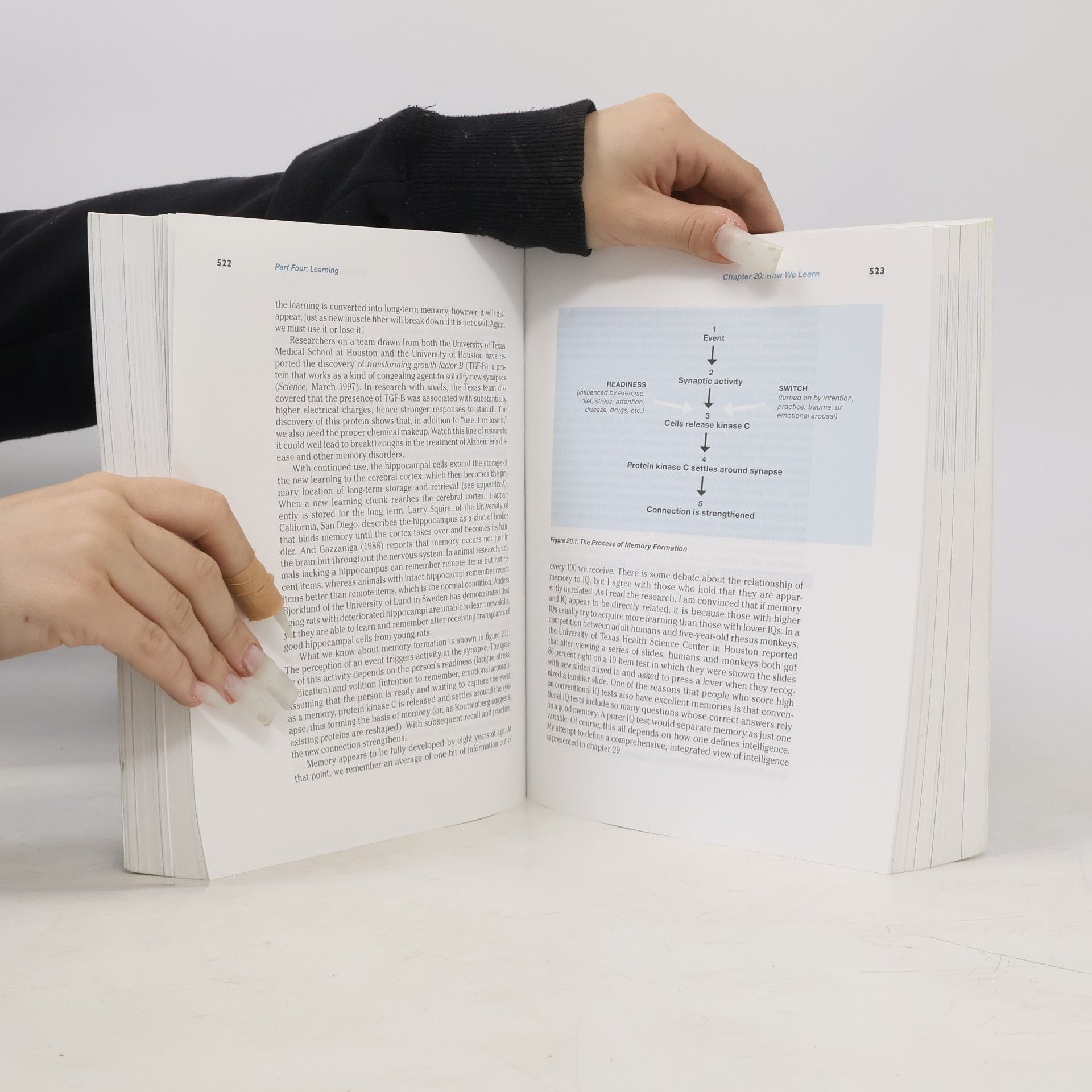 Pierce J. Howard The Owner's Manual for the Brain
