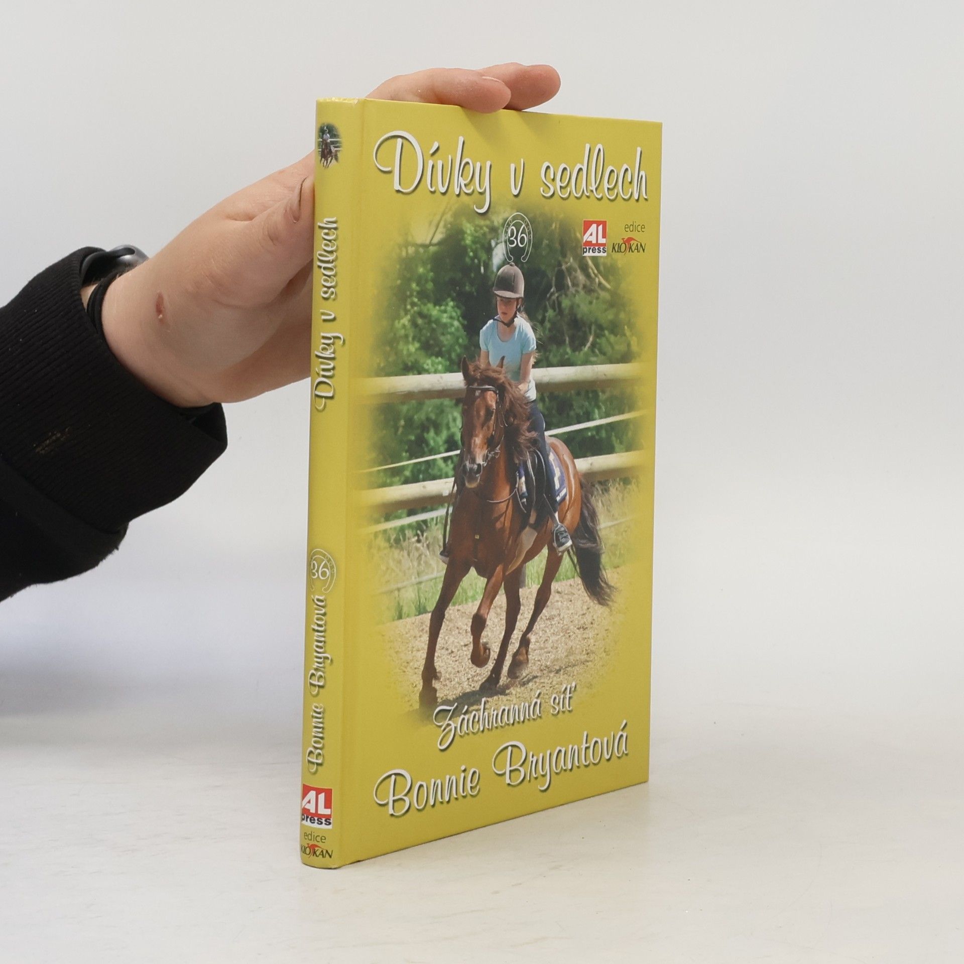 Bonnie Bryant Dívky v sedlech. Záchranná síť
