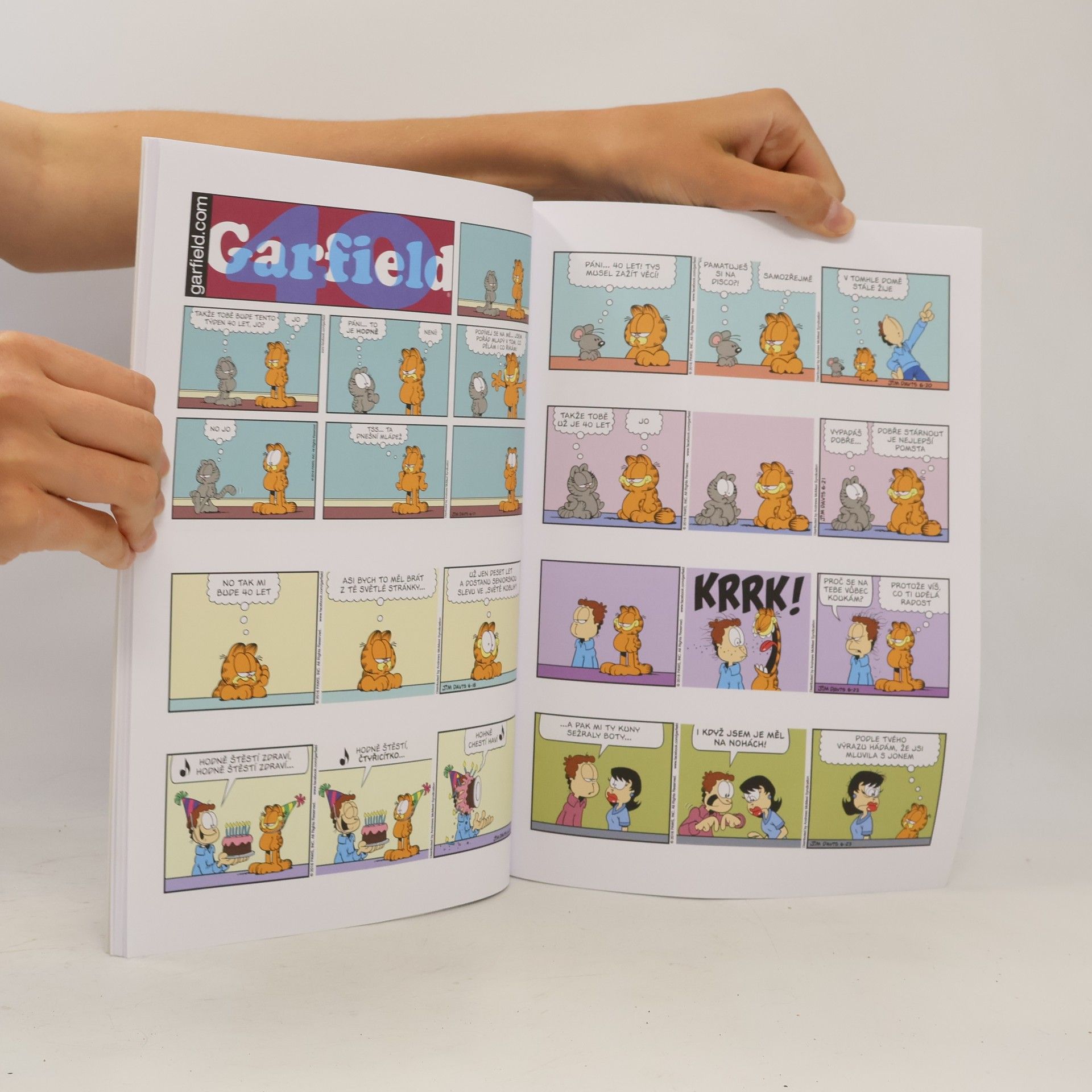 Jim Davis Garfield k nakousnutí