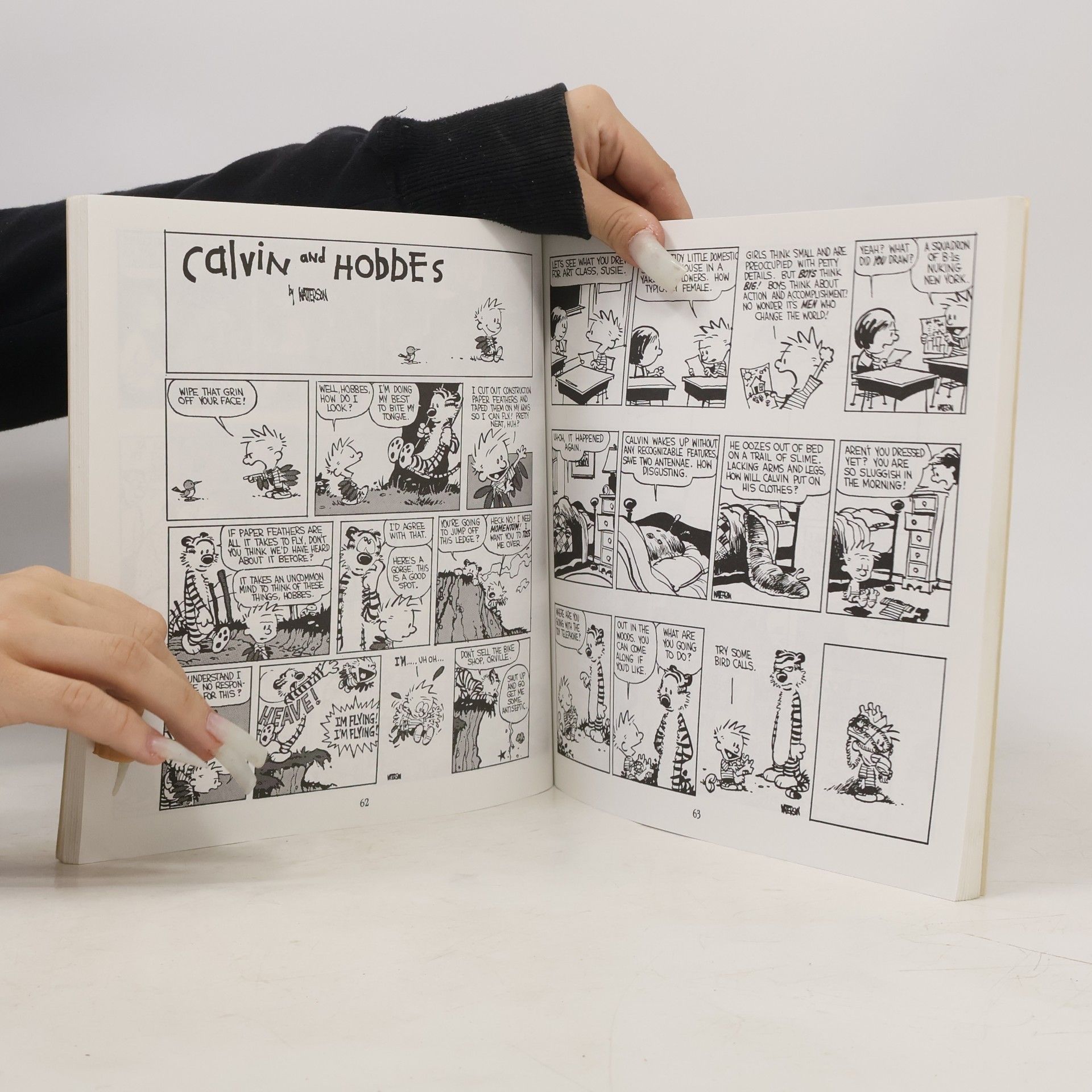 Bill Watterson Yukon Ho!