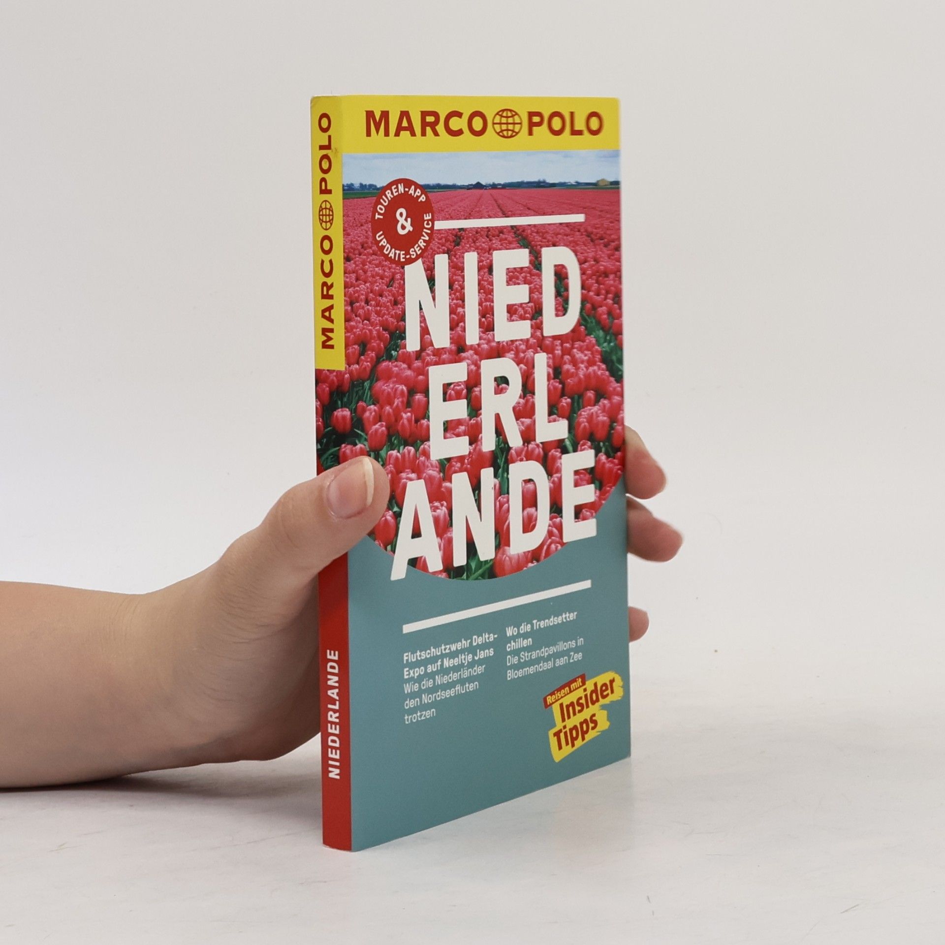 Elsbeth Gugger Niederlande