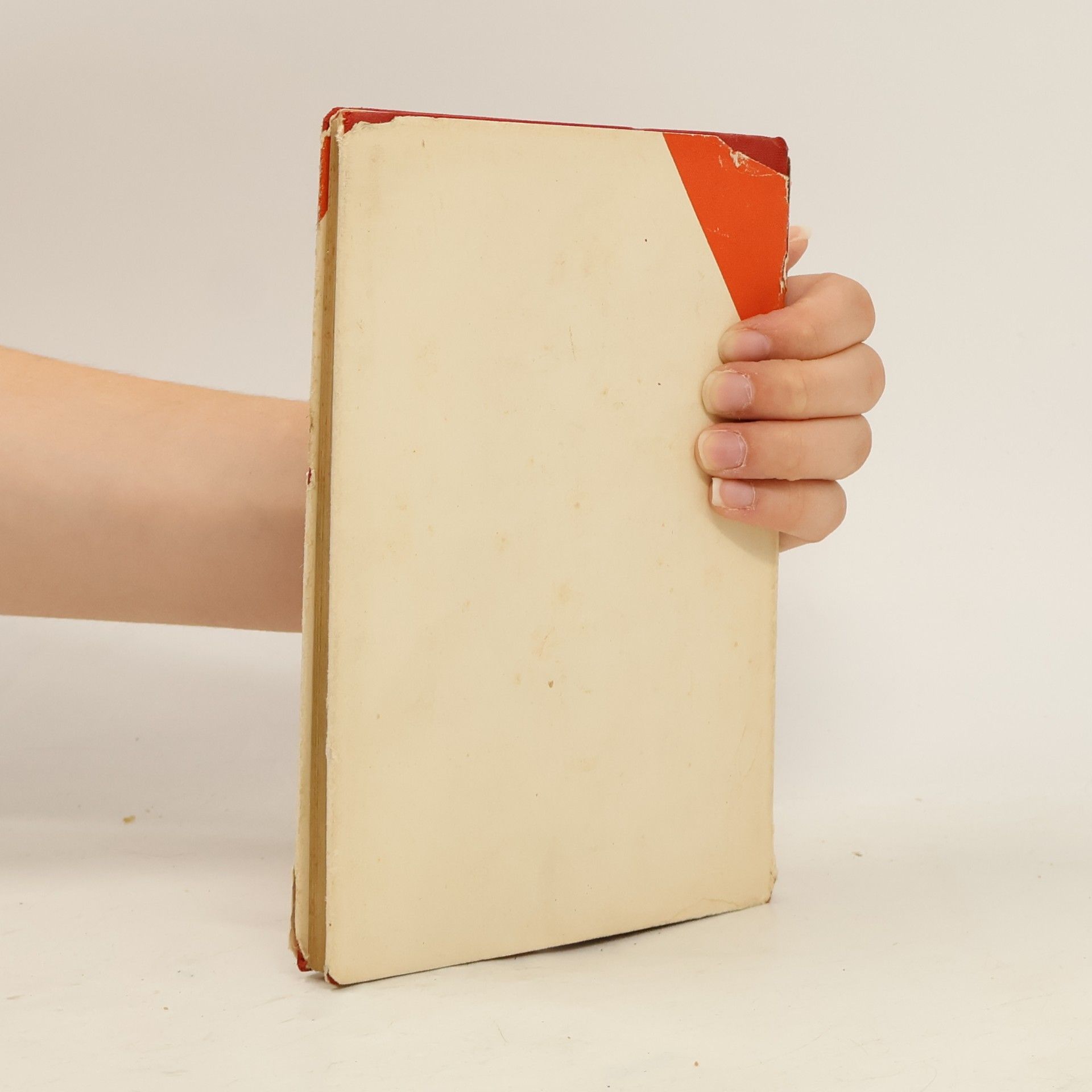 Autorenkollektiv 100 Briefe Französisch für Export und Import