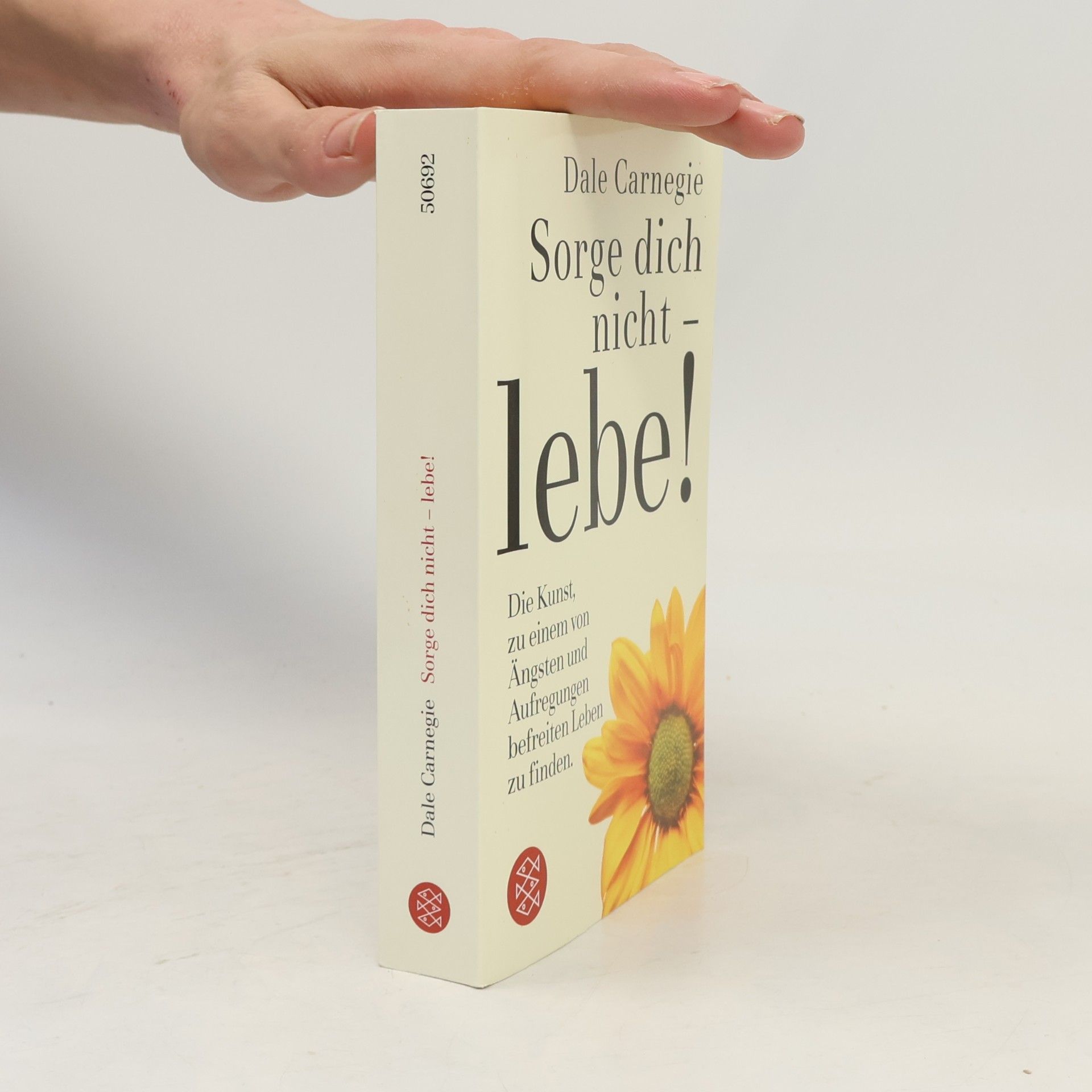 Dale Carnegie Sorge dich nicht - lebe!