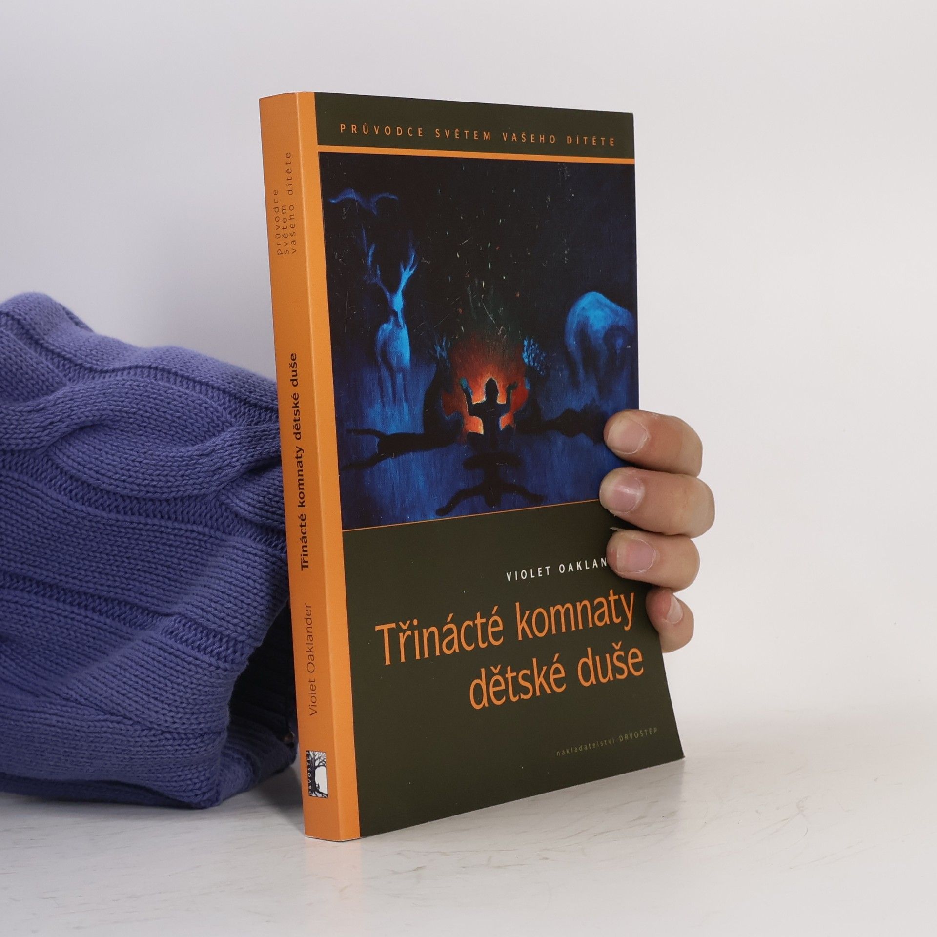 Violet Oaklander Třinácté komnaty dětské duše