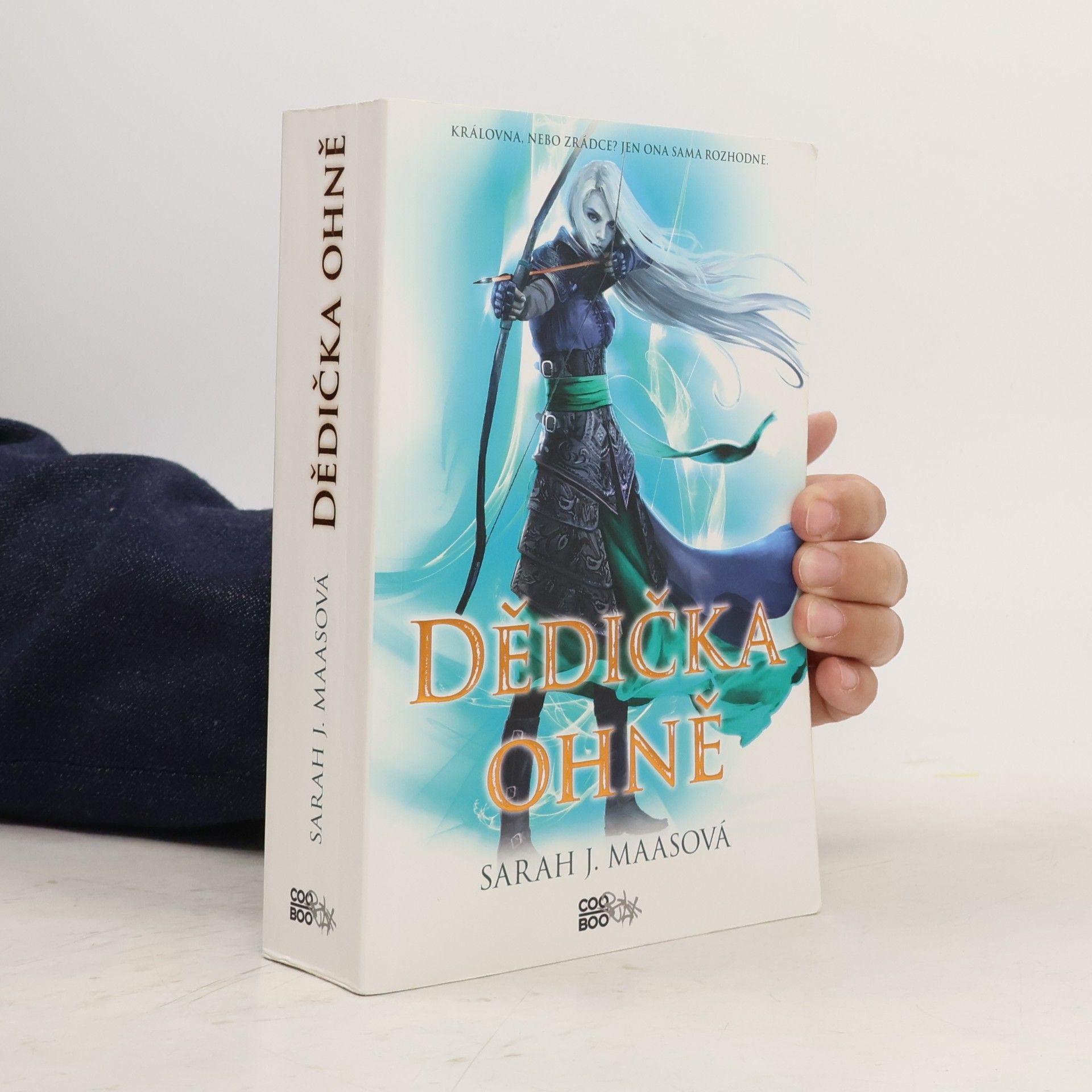 Sarah J. Maas Dědička ohně