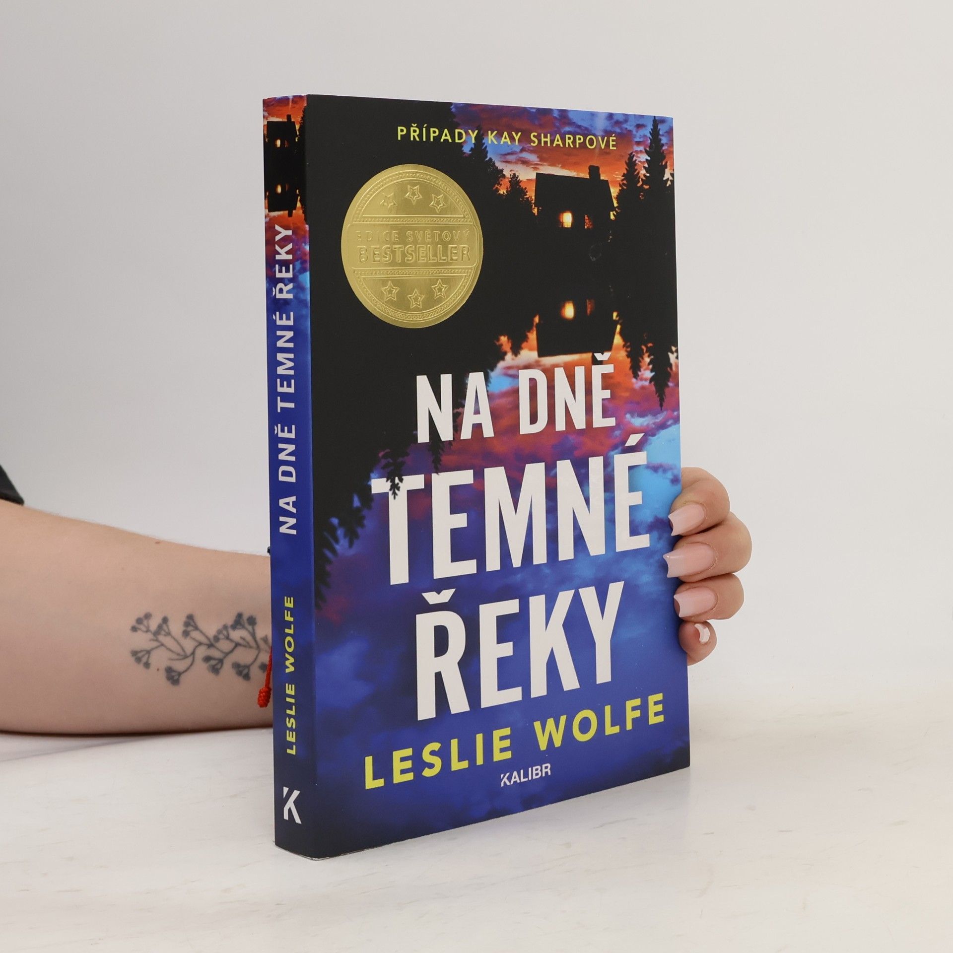 Leslie Wolfe Na dně Temné řeky