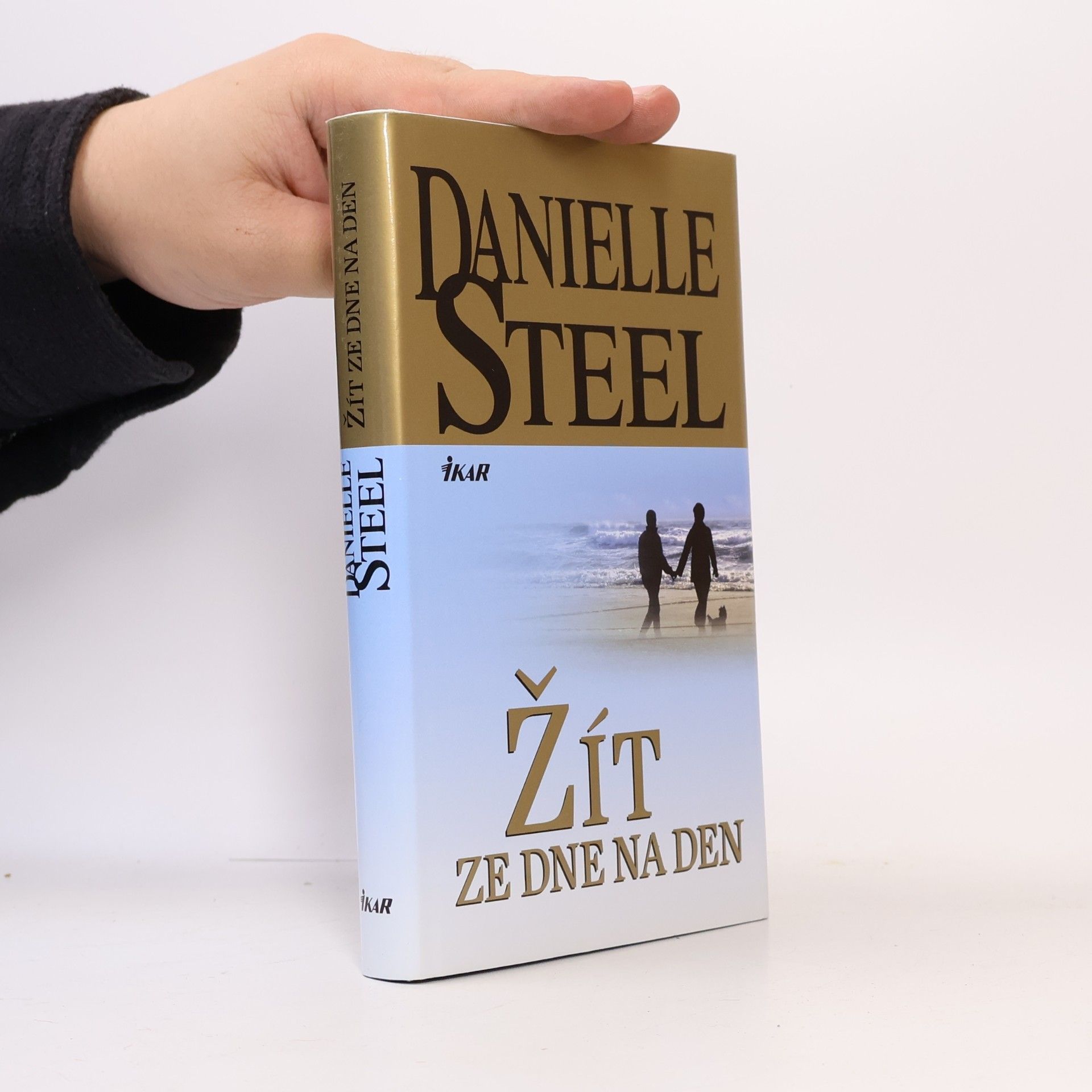 Danielle Steel Žít ze dne na den