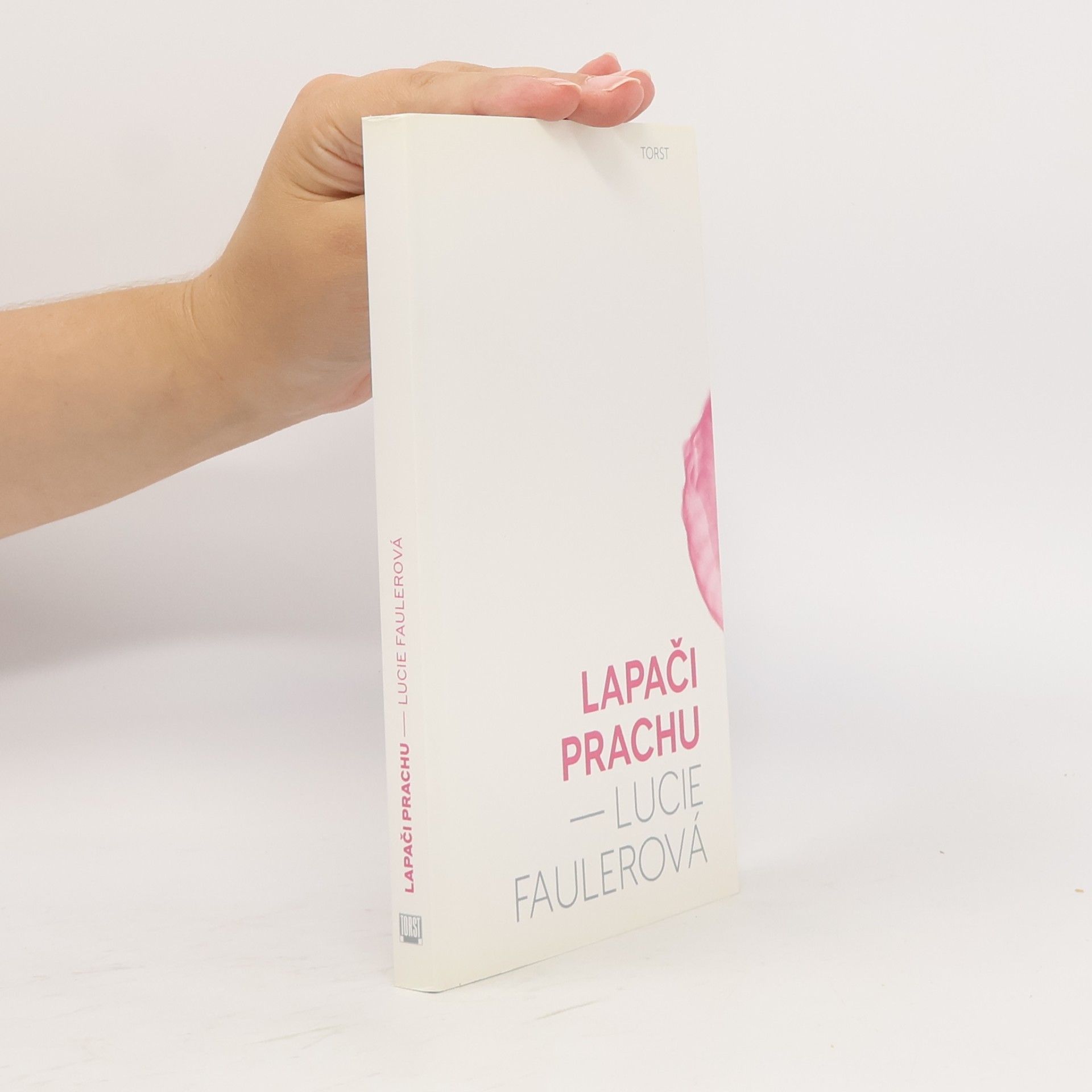 Lucie Faulerová Lapači prachu