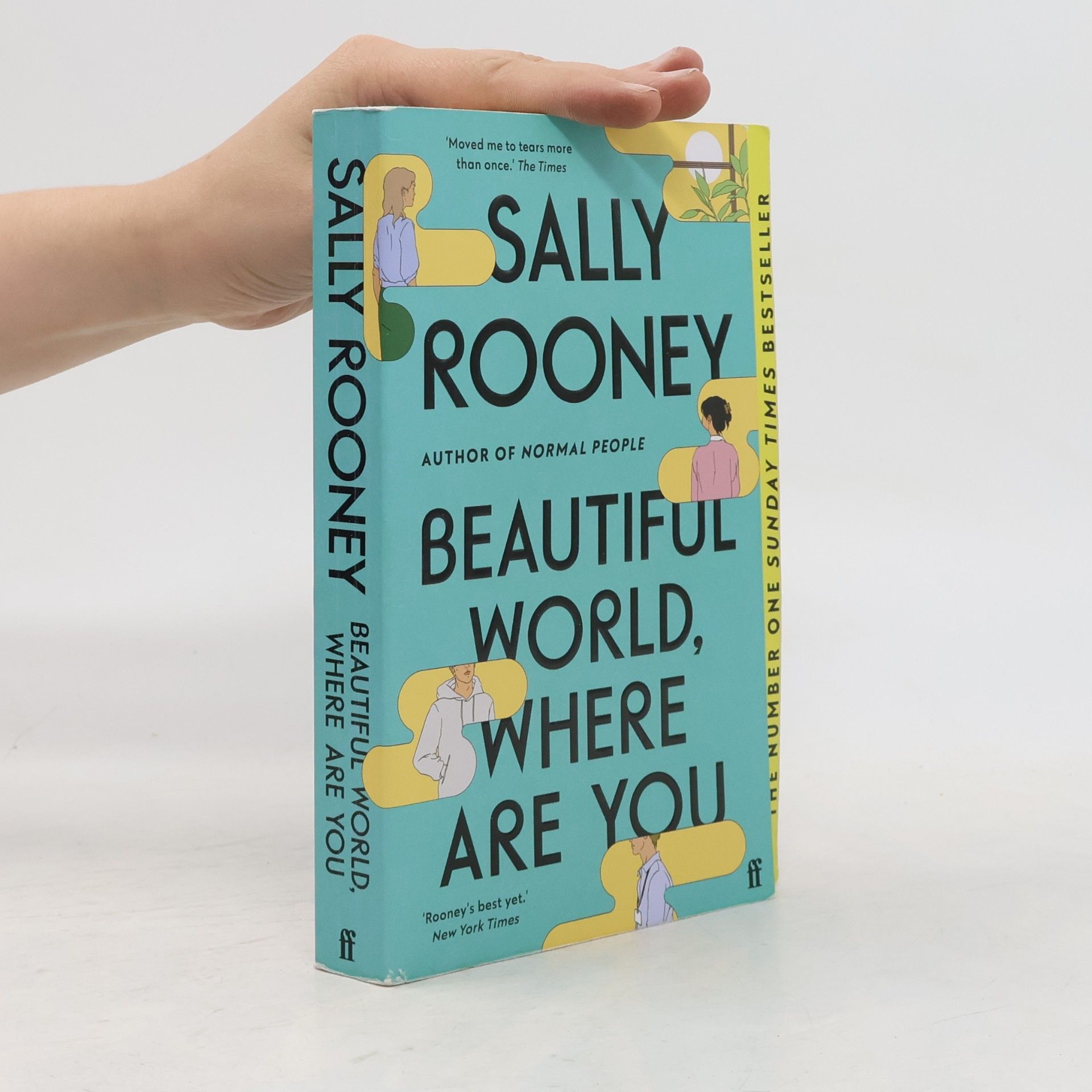 Sally Rooney Beautiful World, Where Are You