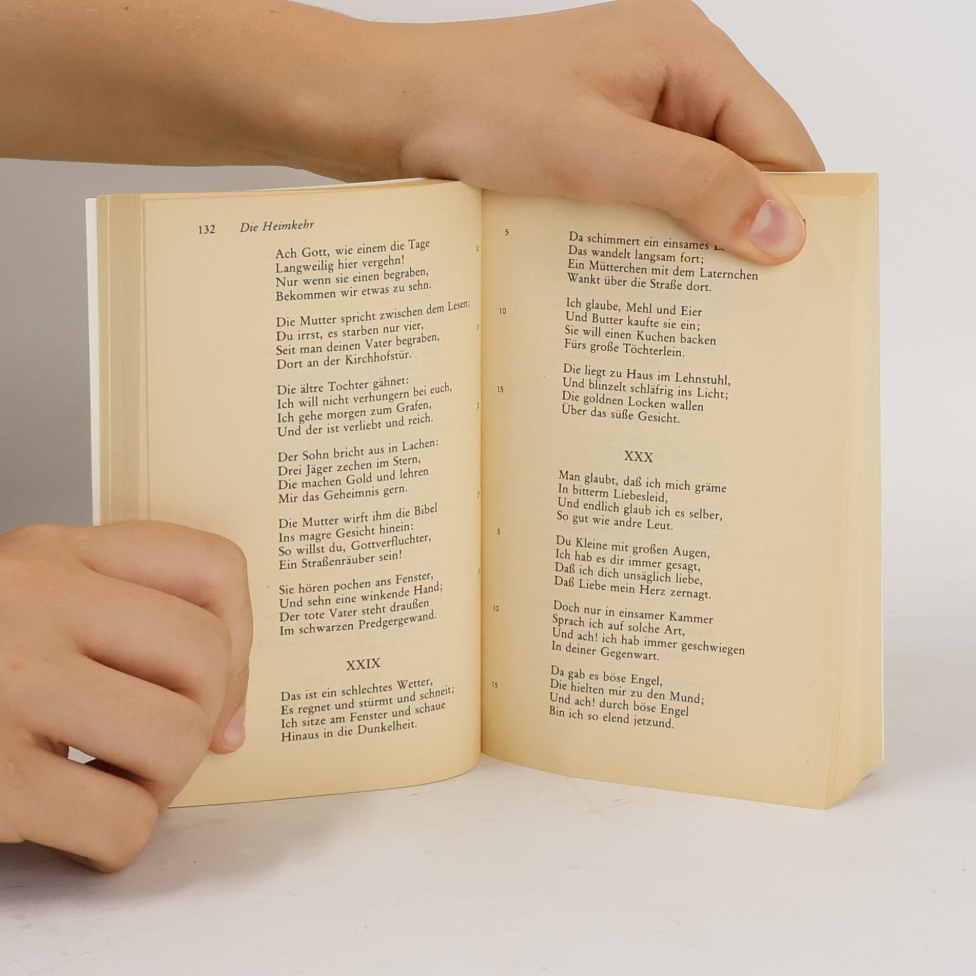 Heinrich Heine Buch der Lieder