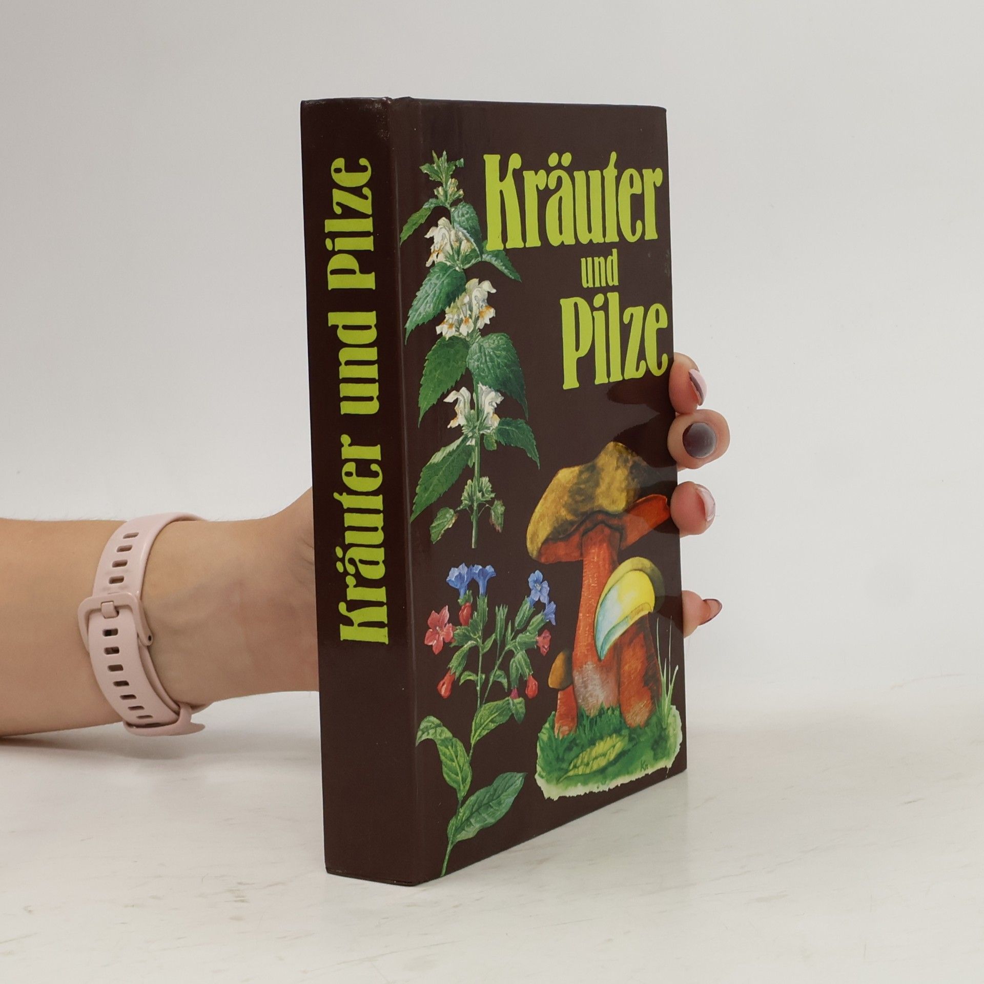 Kolektiv autorů Kräuter und Pilze