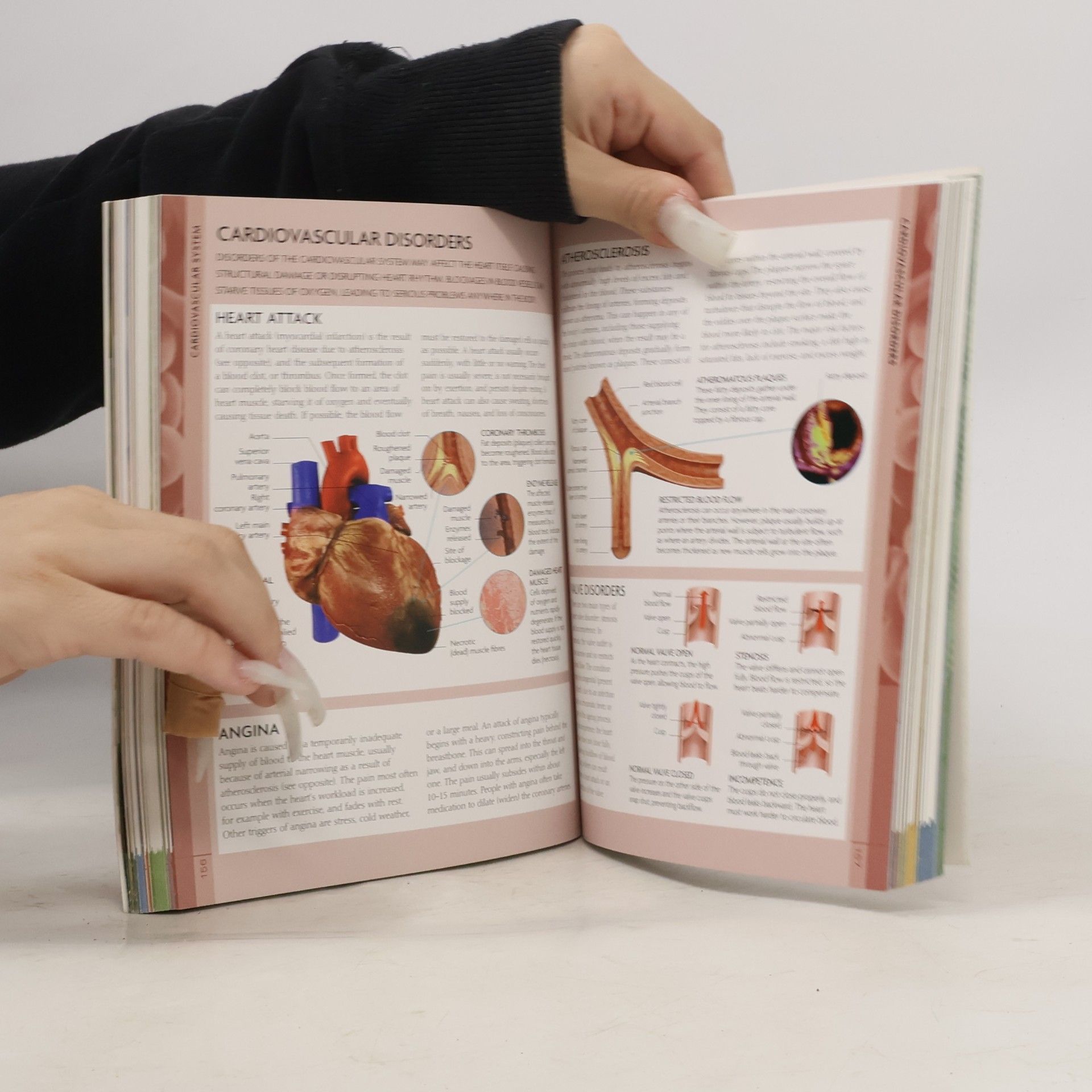 Steve Parker The Concise Human Body Book