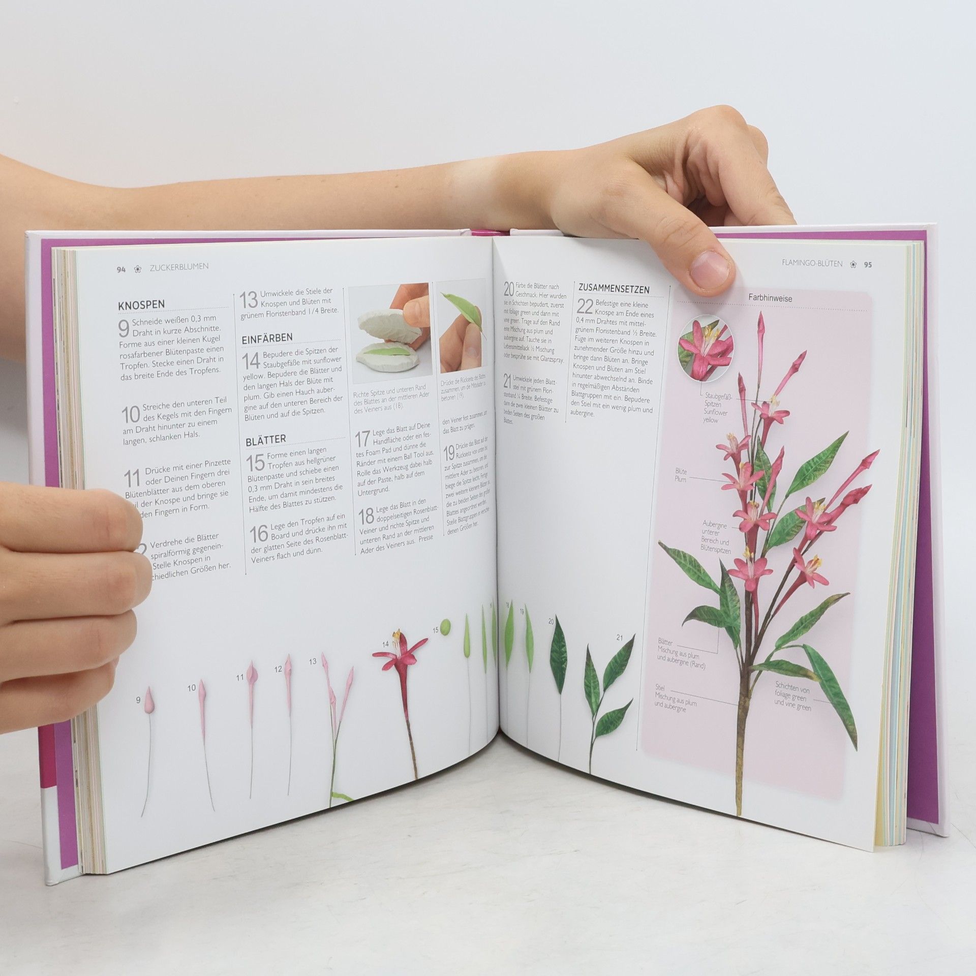 Alan Dunn Basics für Zuckerblumen