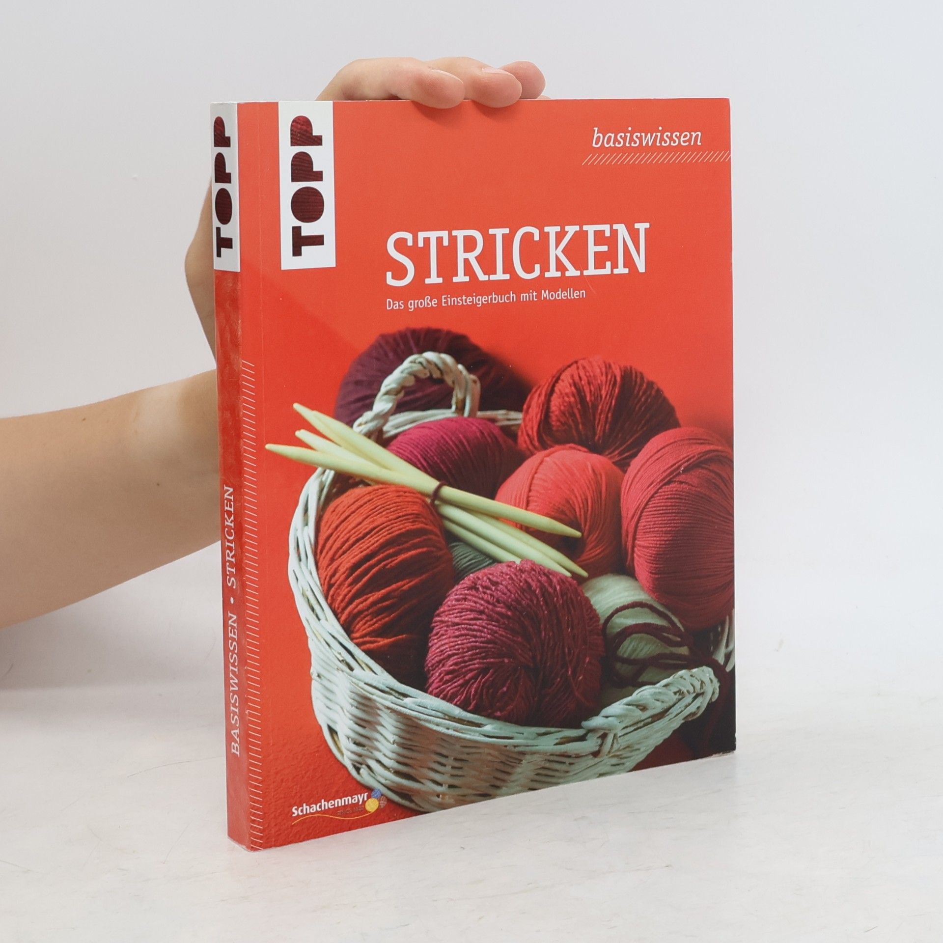 Anita Avesani Haegeli Basiswissen Stricken