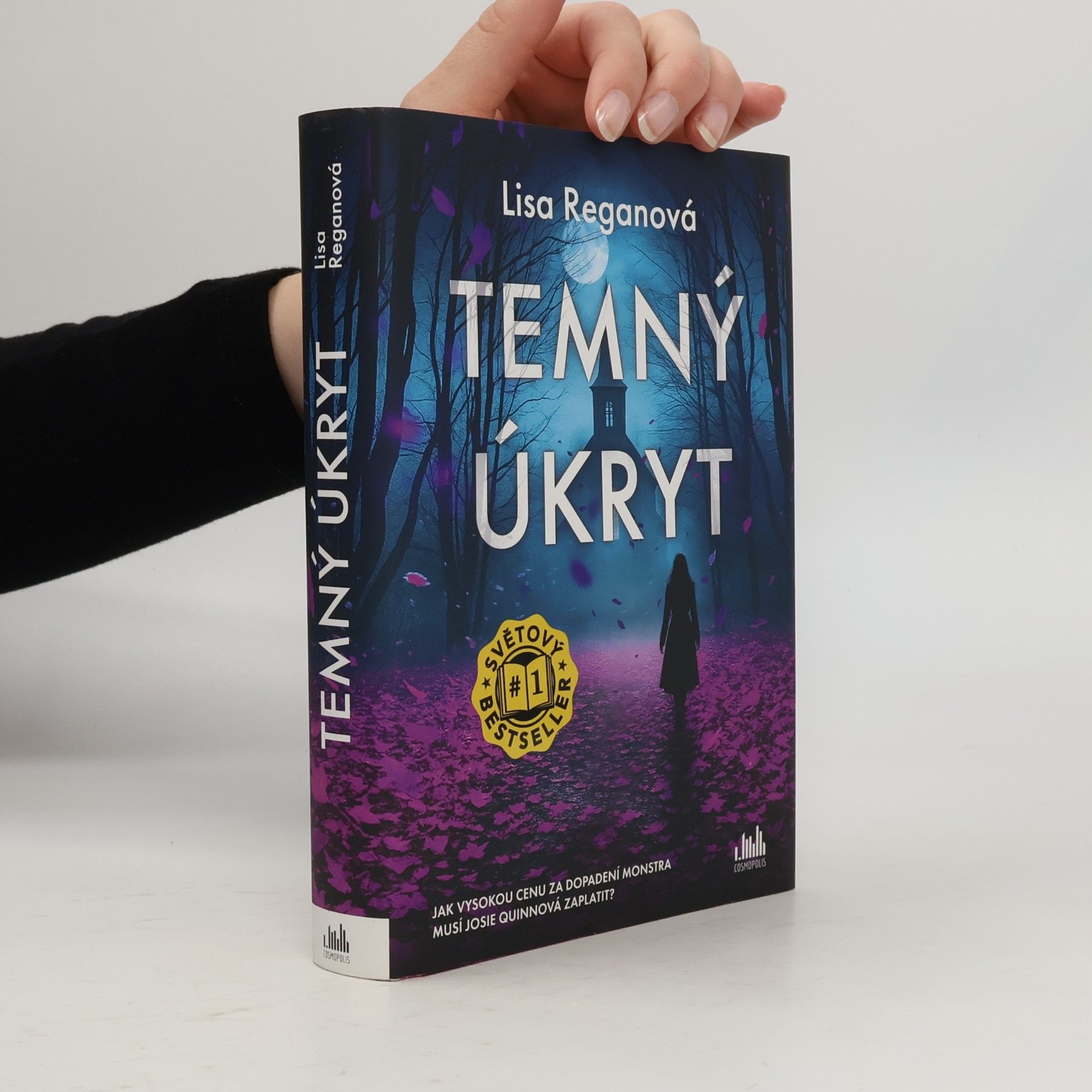Lisa Regan Temný úkryt