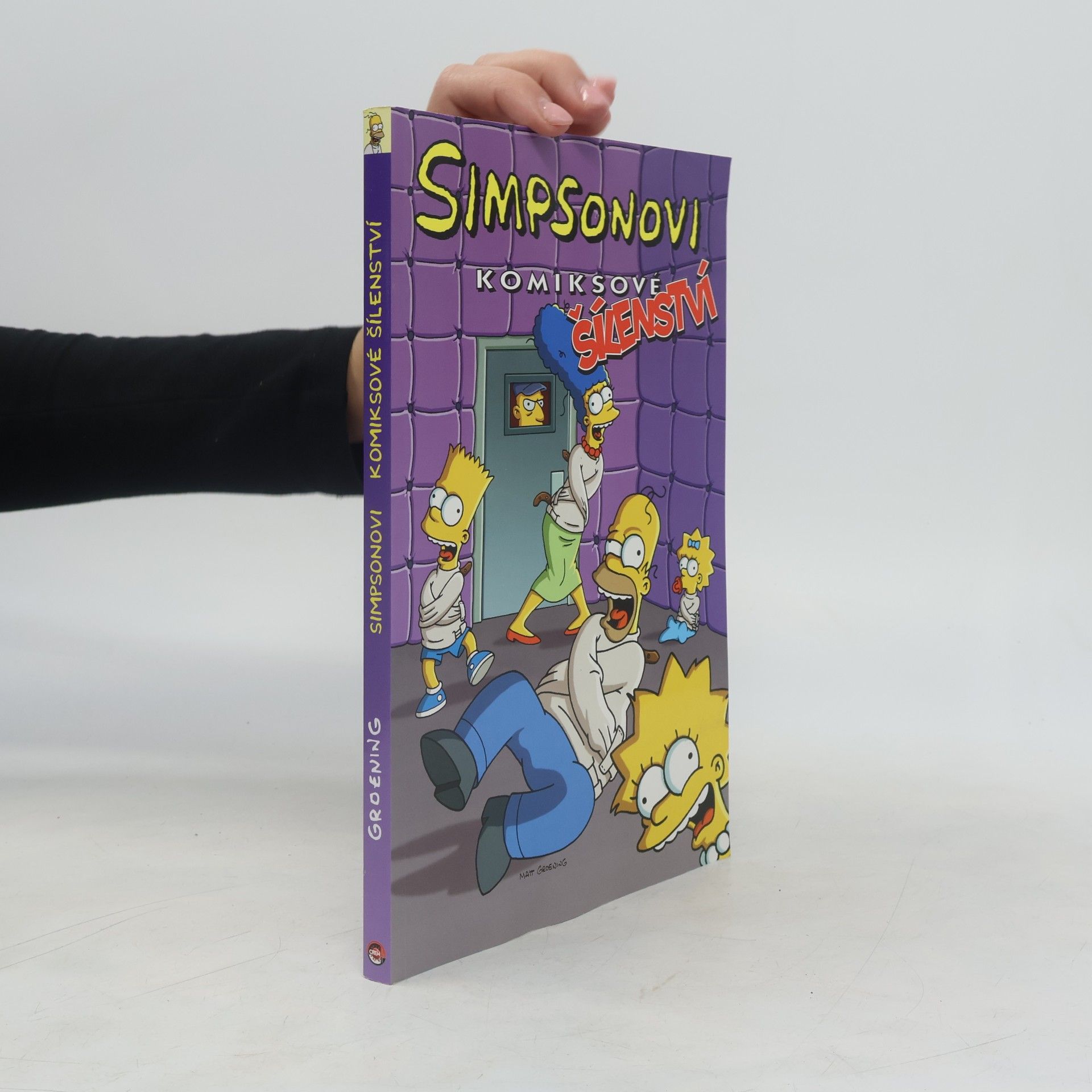 Matt Groening Simpsonovi, Komiksové šílenství