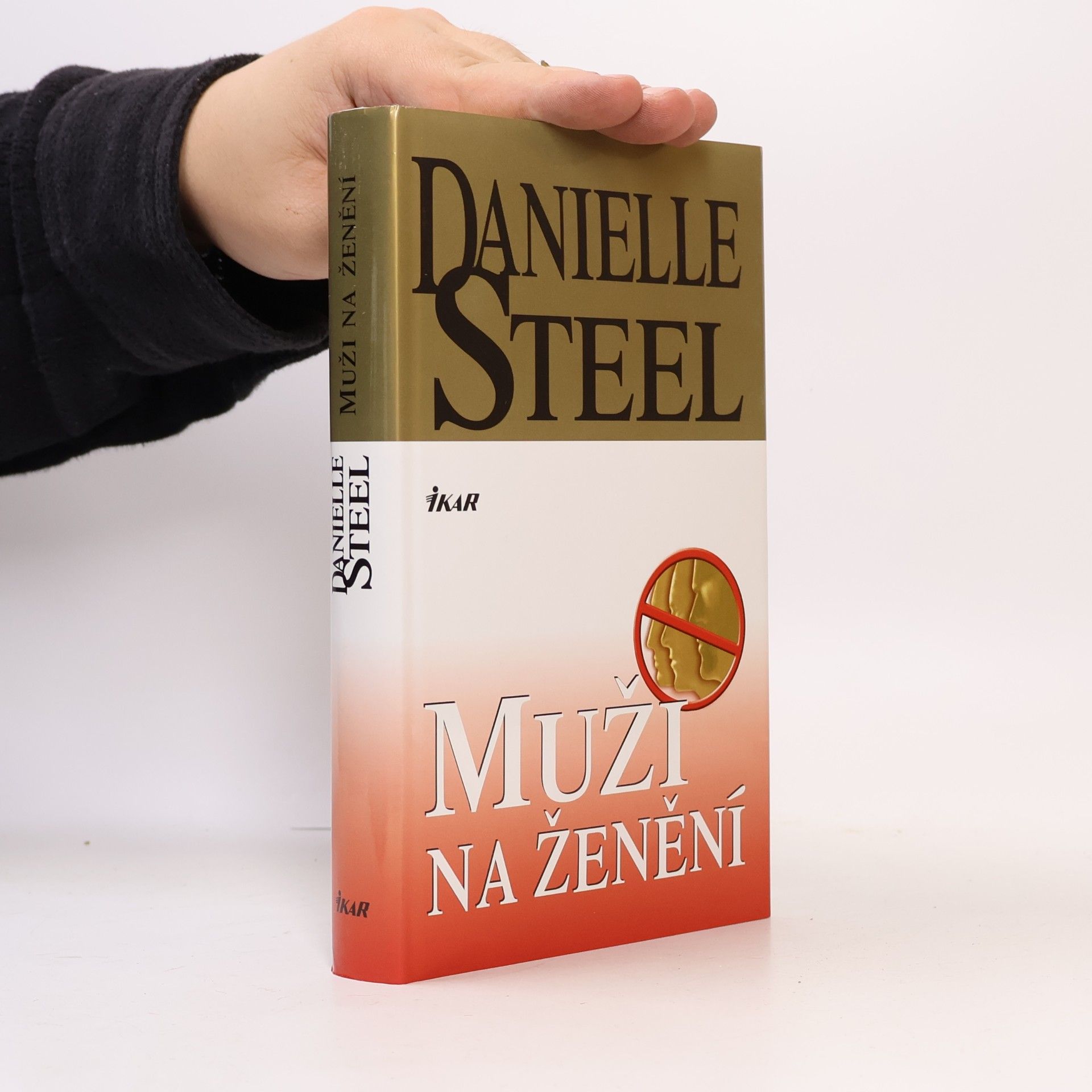 Danielle Steel Muži na ženění