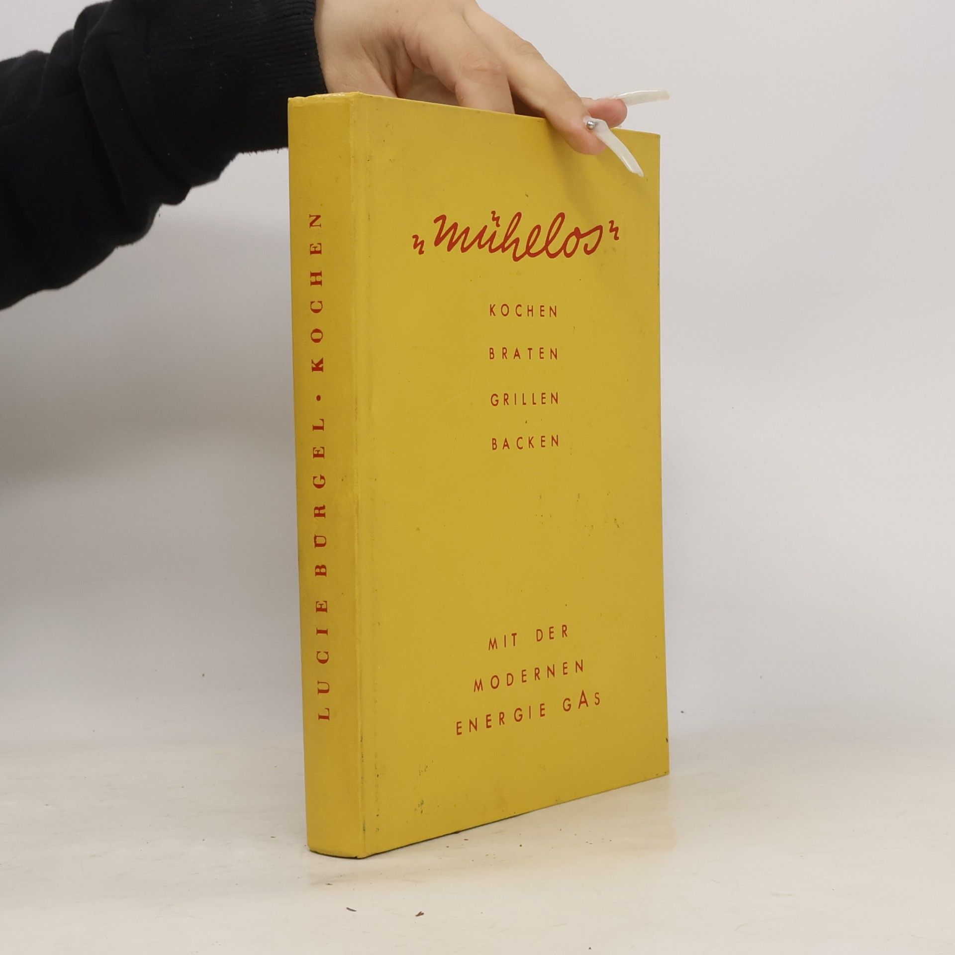Mühelos. Kochen - Braten - Grillen - Backen mit modernen Energie