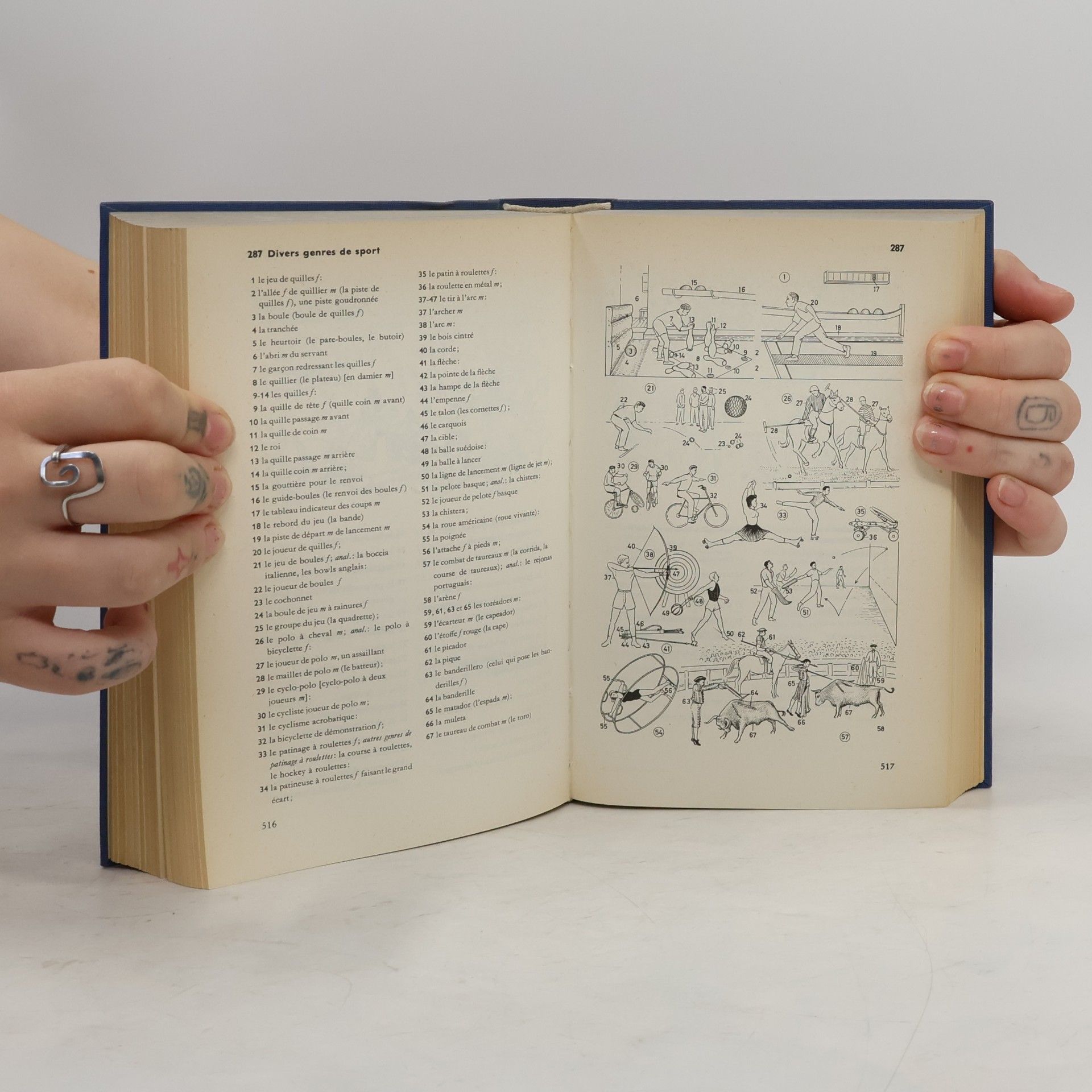 Kolektiv autorů Duden Français : dictionnaire en images