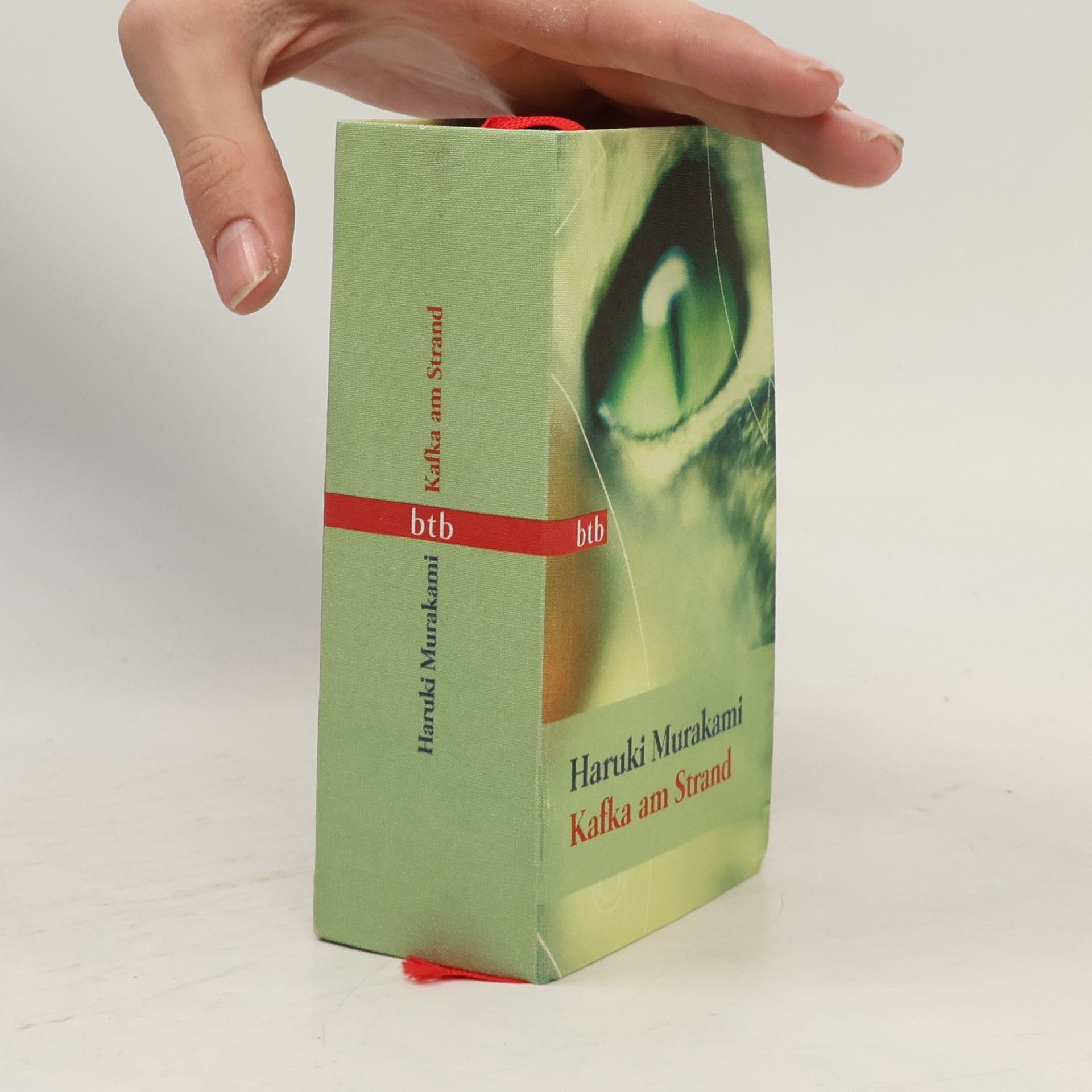 Haruki Murakami Kafka am Strand