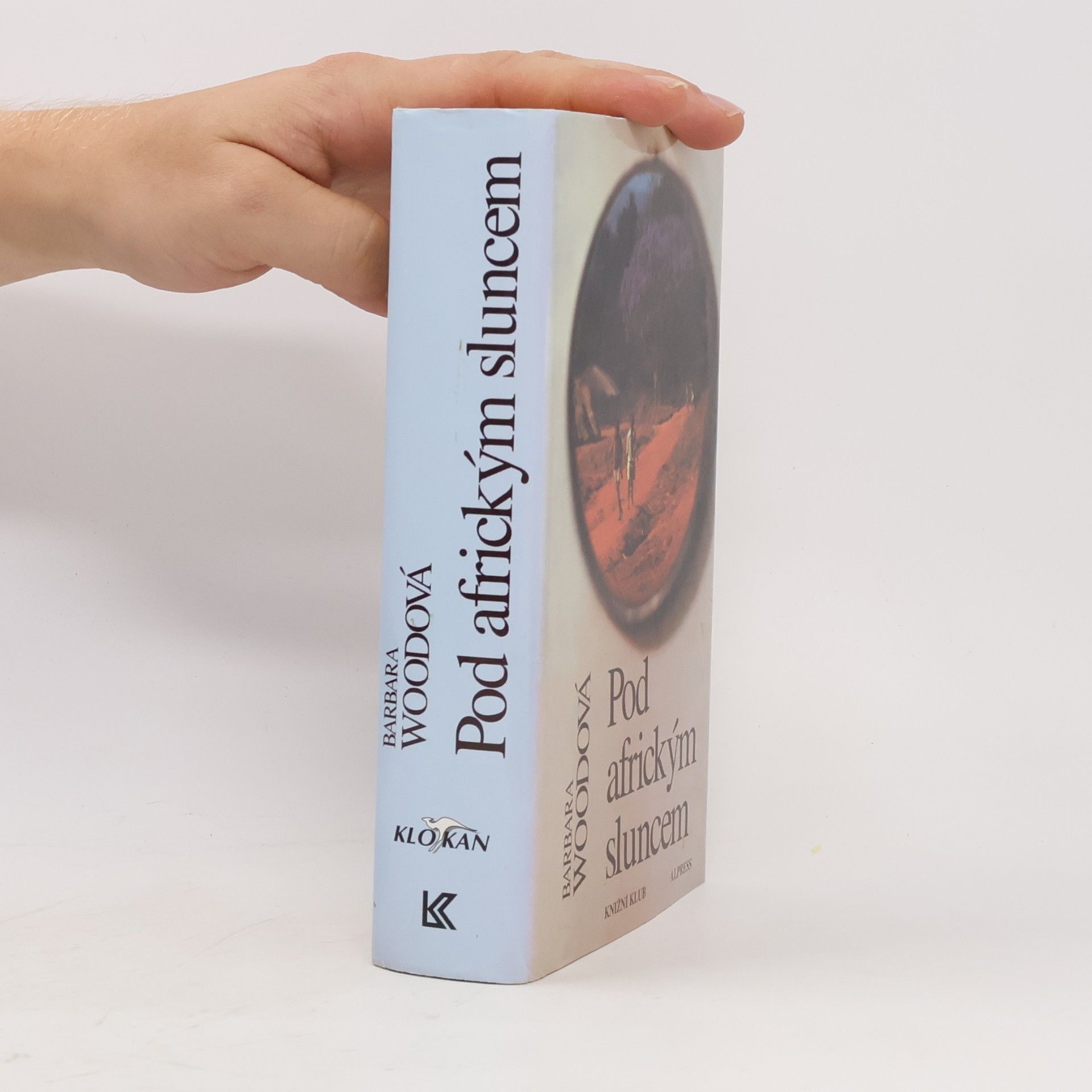 Barbara Wood Pod africkým sluncem
