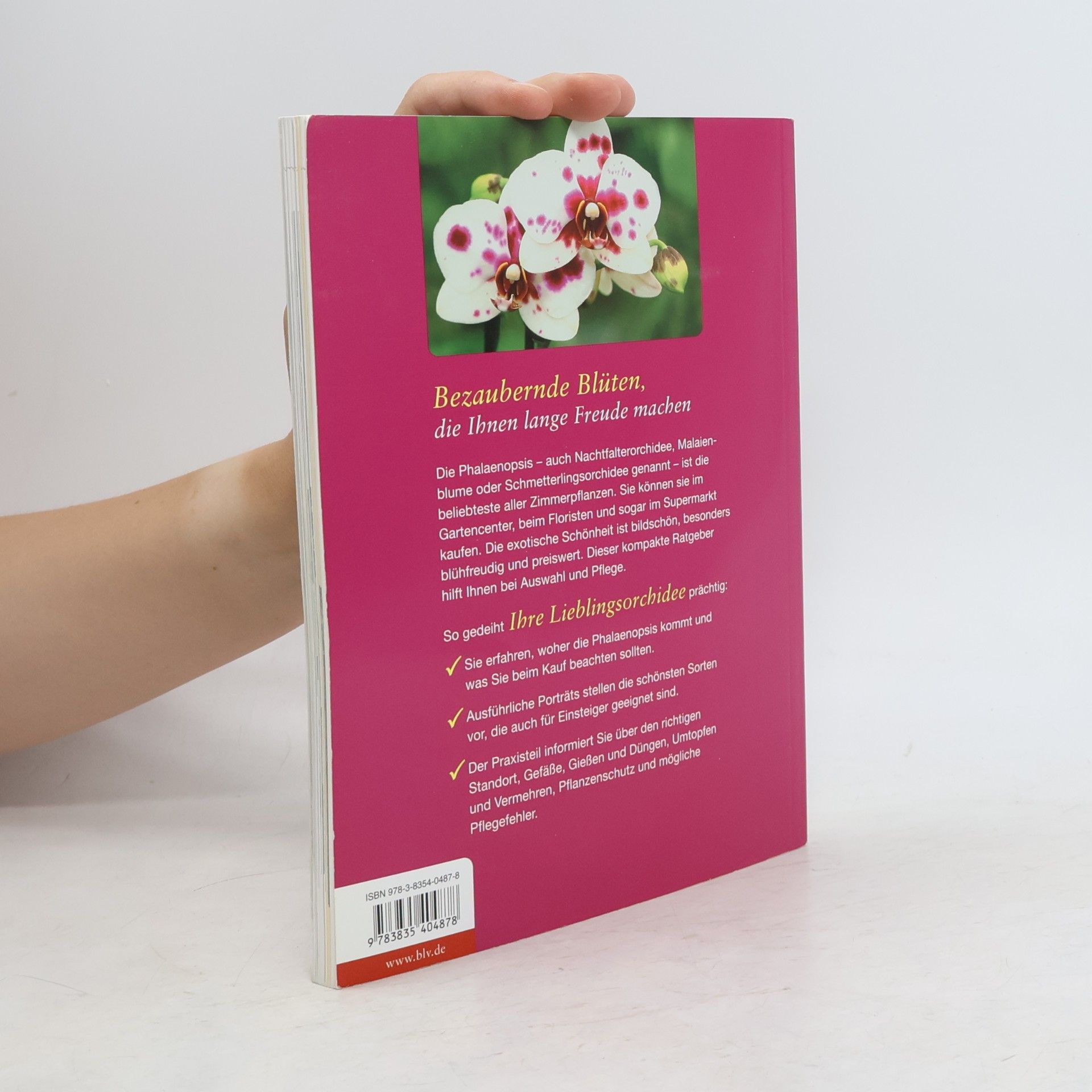 Jörn Pinske Phalaenopsis