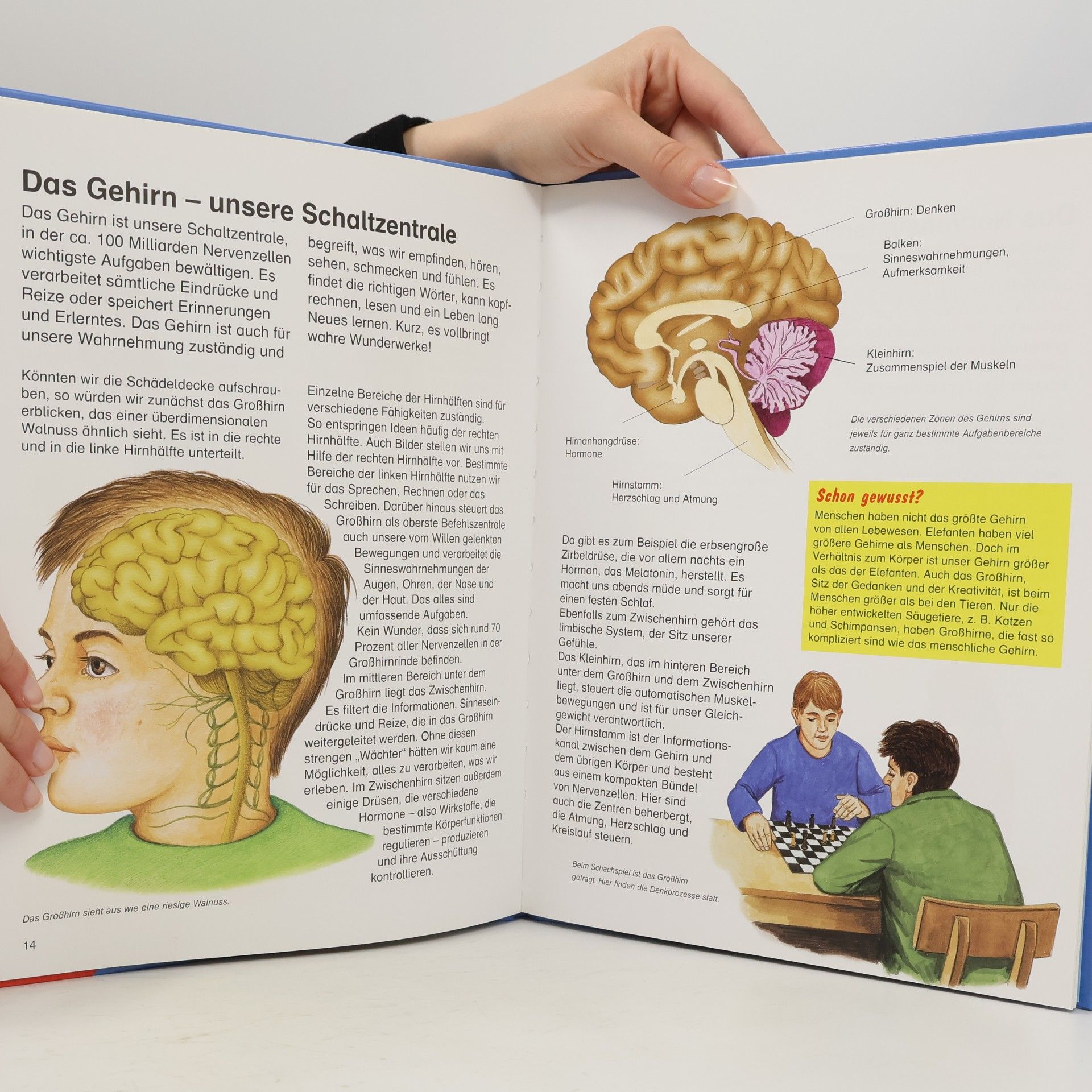 Hans G. Schellenberger Der große Xenos-Körperatlas für Kinder