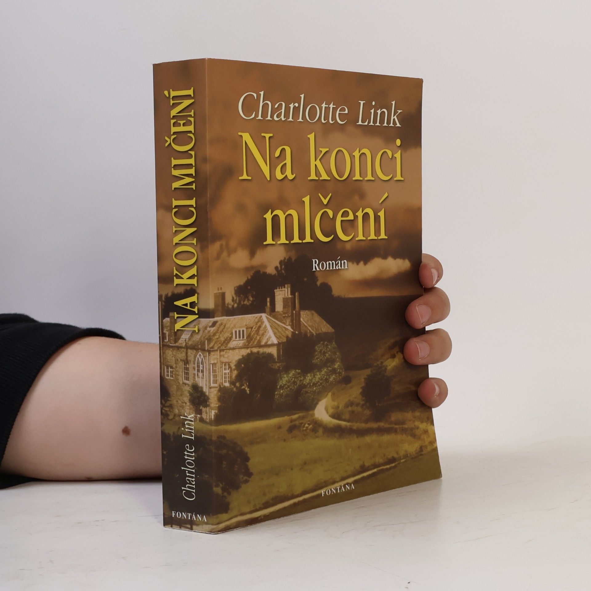Charlotte Link Na konci mlčení