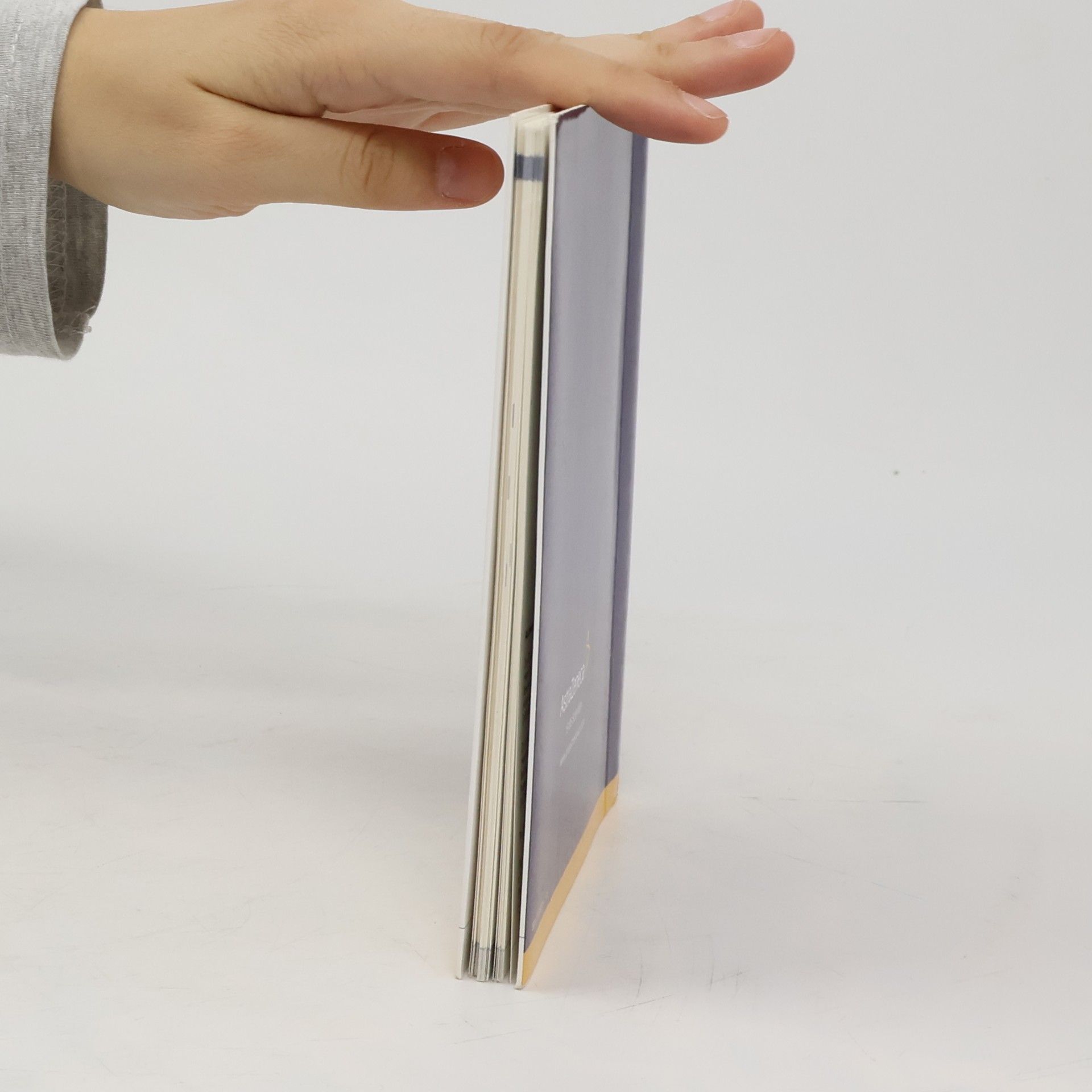 Gisela Meier Pocket Compendium of Peripheral Nerve Blocks