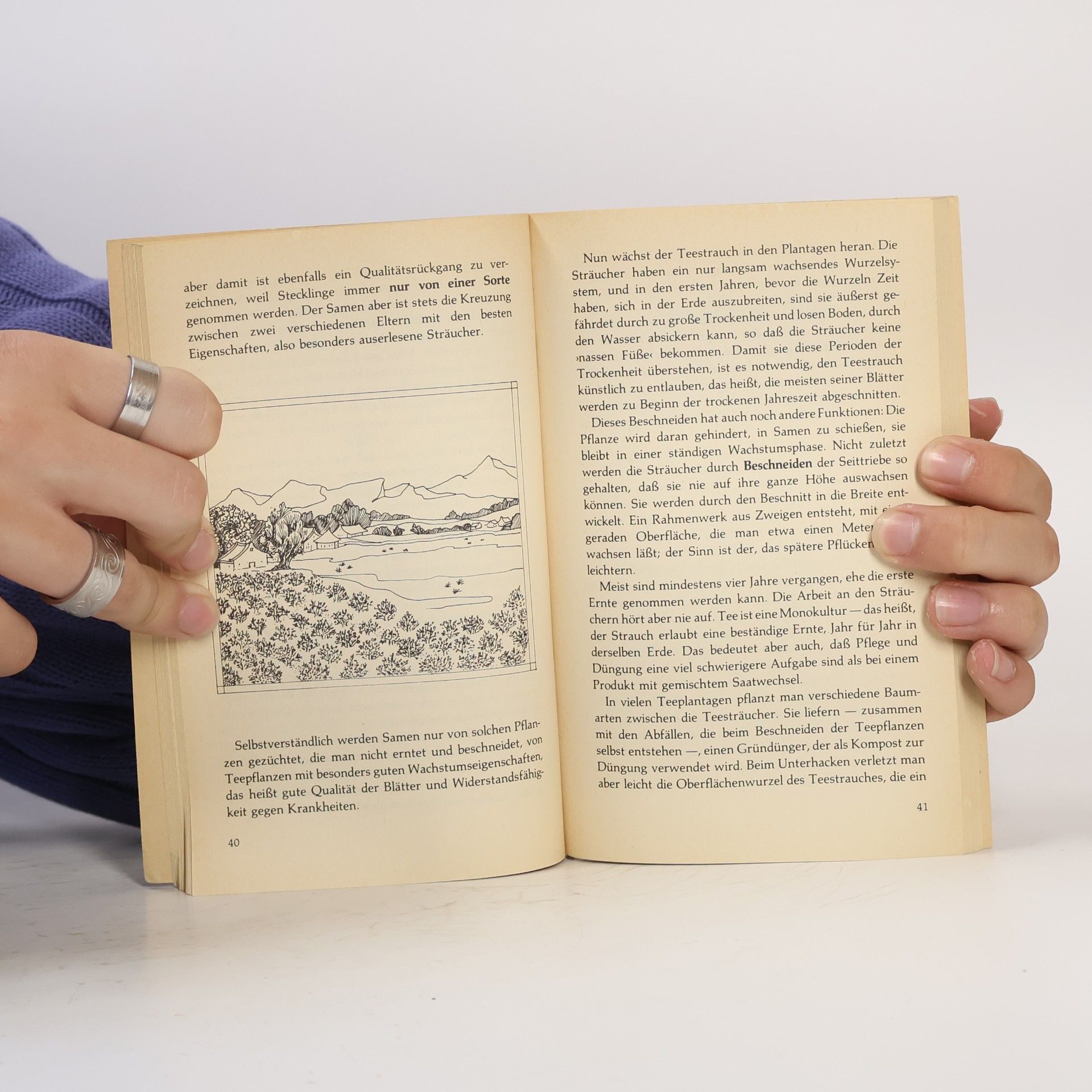 Hans Herlin Das Taschenbuch vom Tee