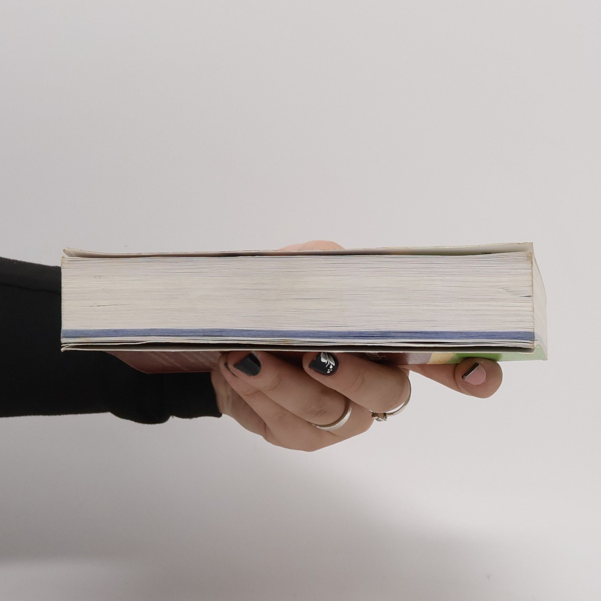 Various authors Česko-německý mluvník