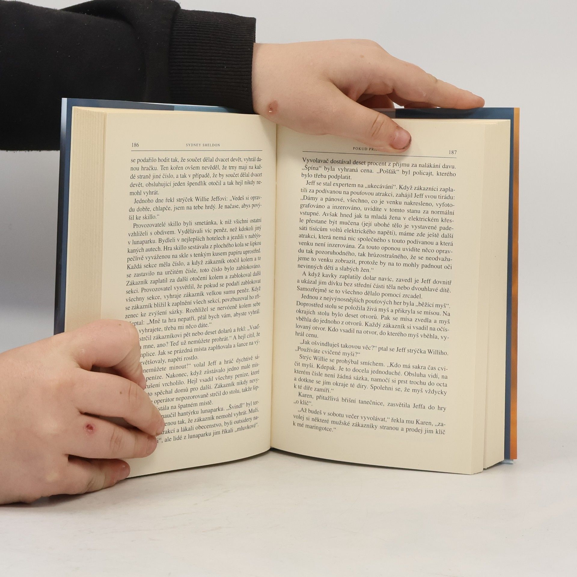 Sidney Sheldon Pokud přijde zítřek
