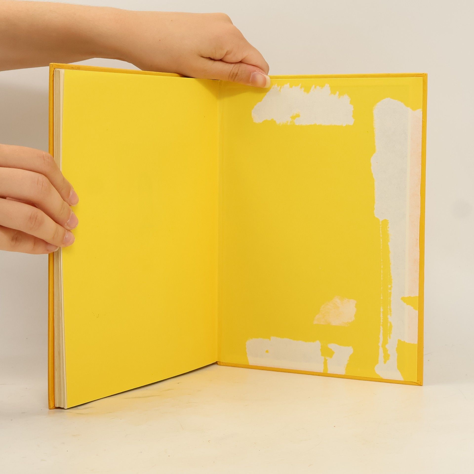 Karin Stjernholm Raeder Lotte-Liese, Hauptstrasse 12, Erdball, Weltall