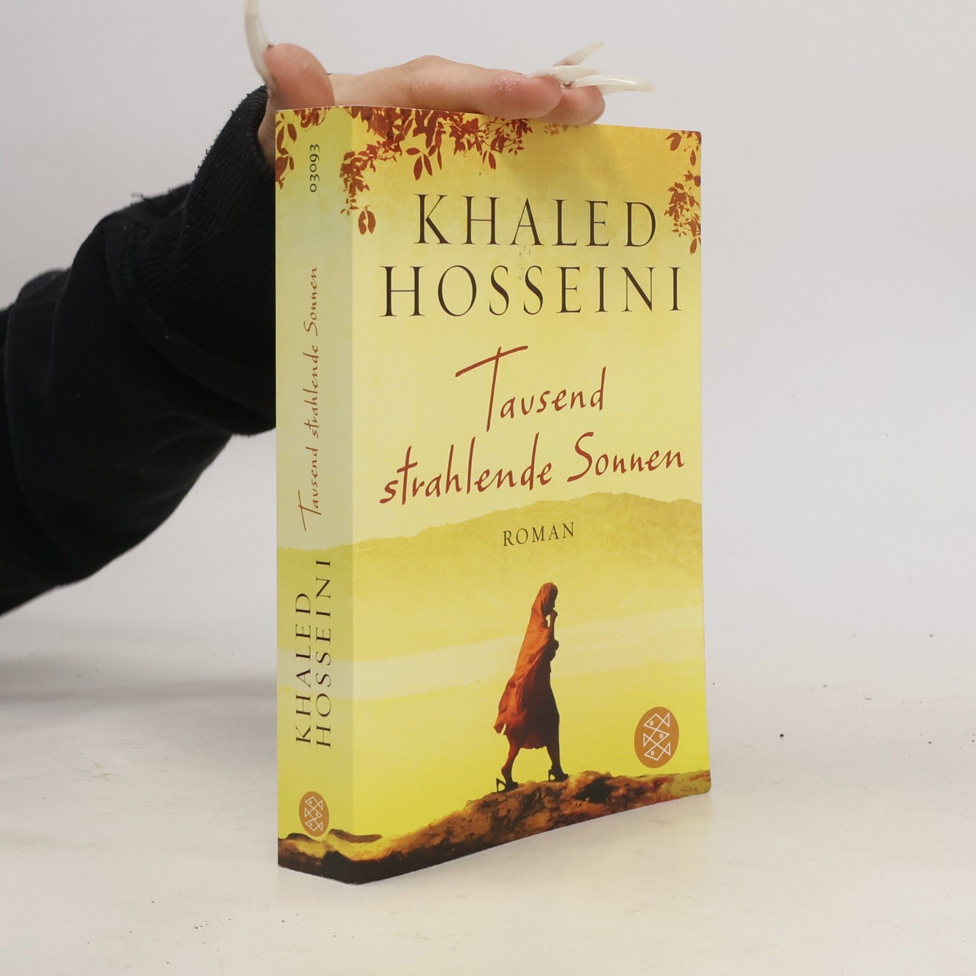 Khaled Hosseini Tausend strahlende Sonnen