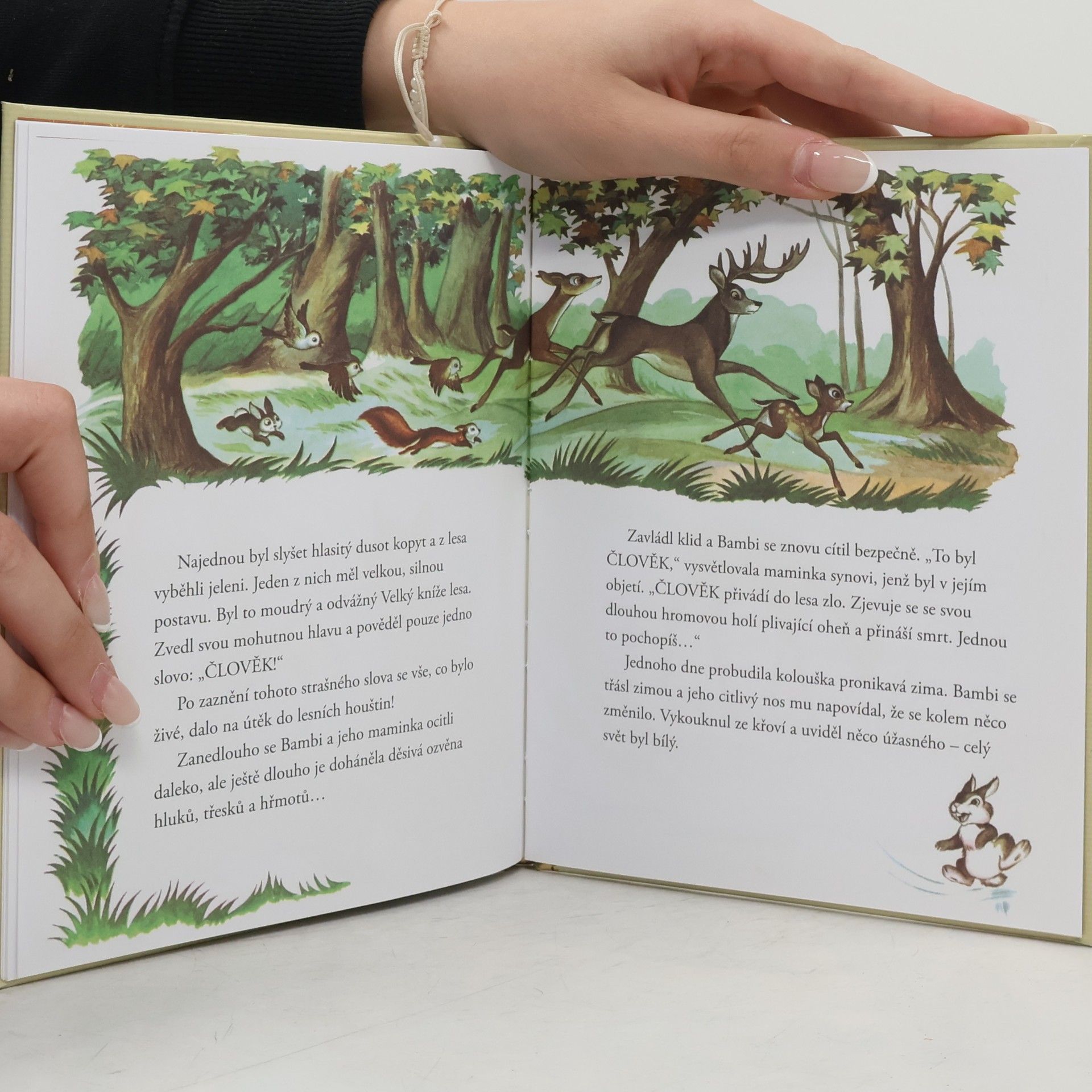 Walt Disney Zlatá sbírka pohádek 4. Bambi