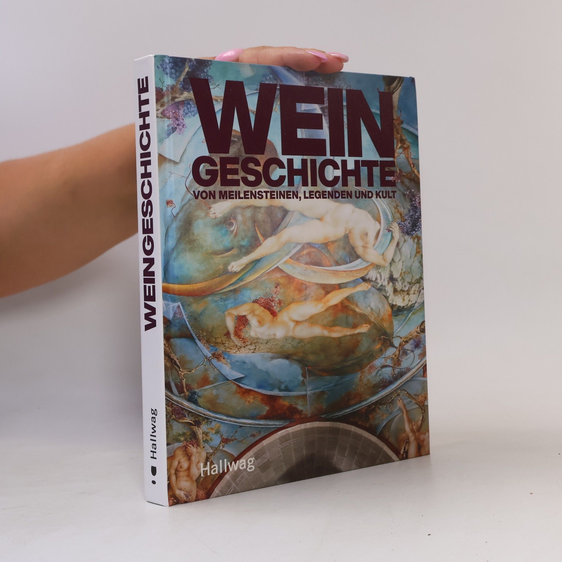 Hallwag Kümmerly+Frey AG Weingeschichte