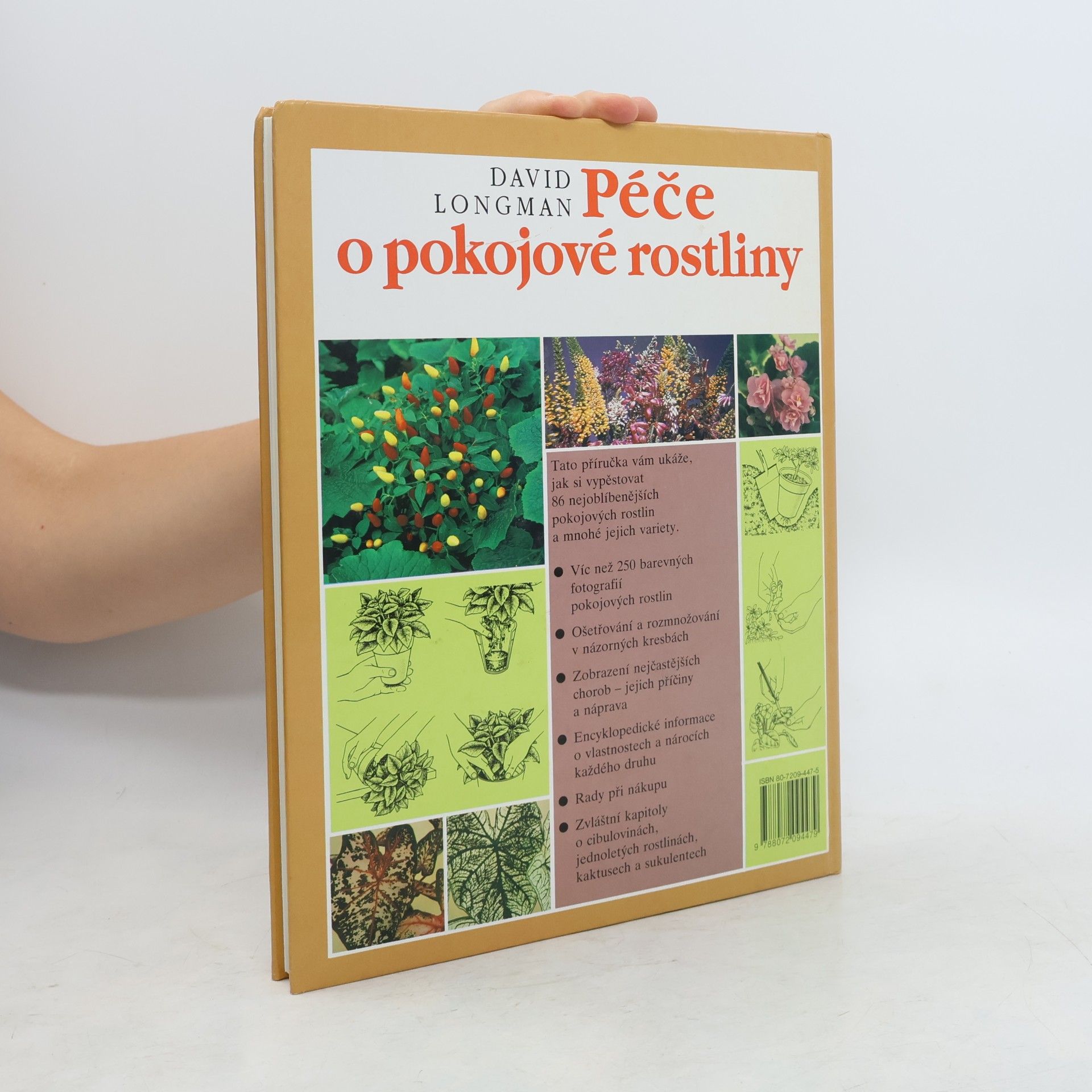 David Longman Péče o pokojové rostliny