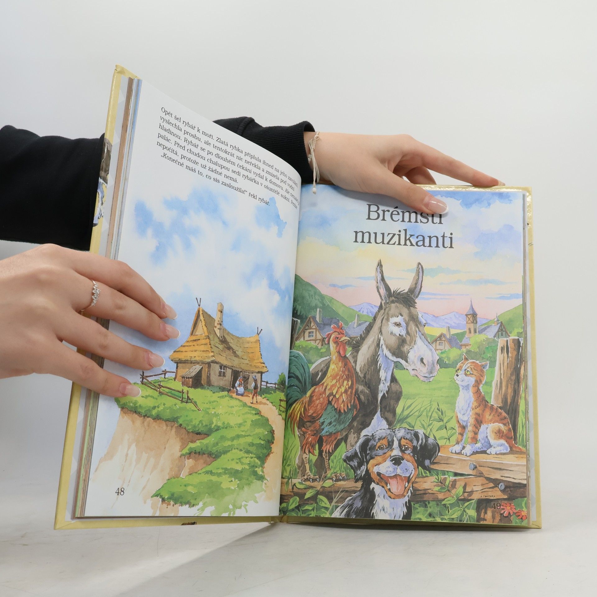 Jacob Grimm Nejkrásnější pohádky na každý den