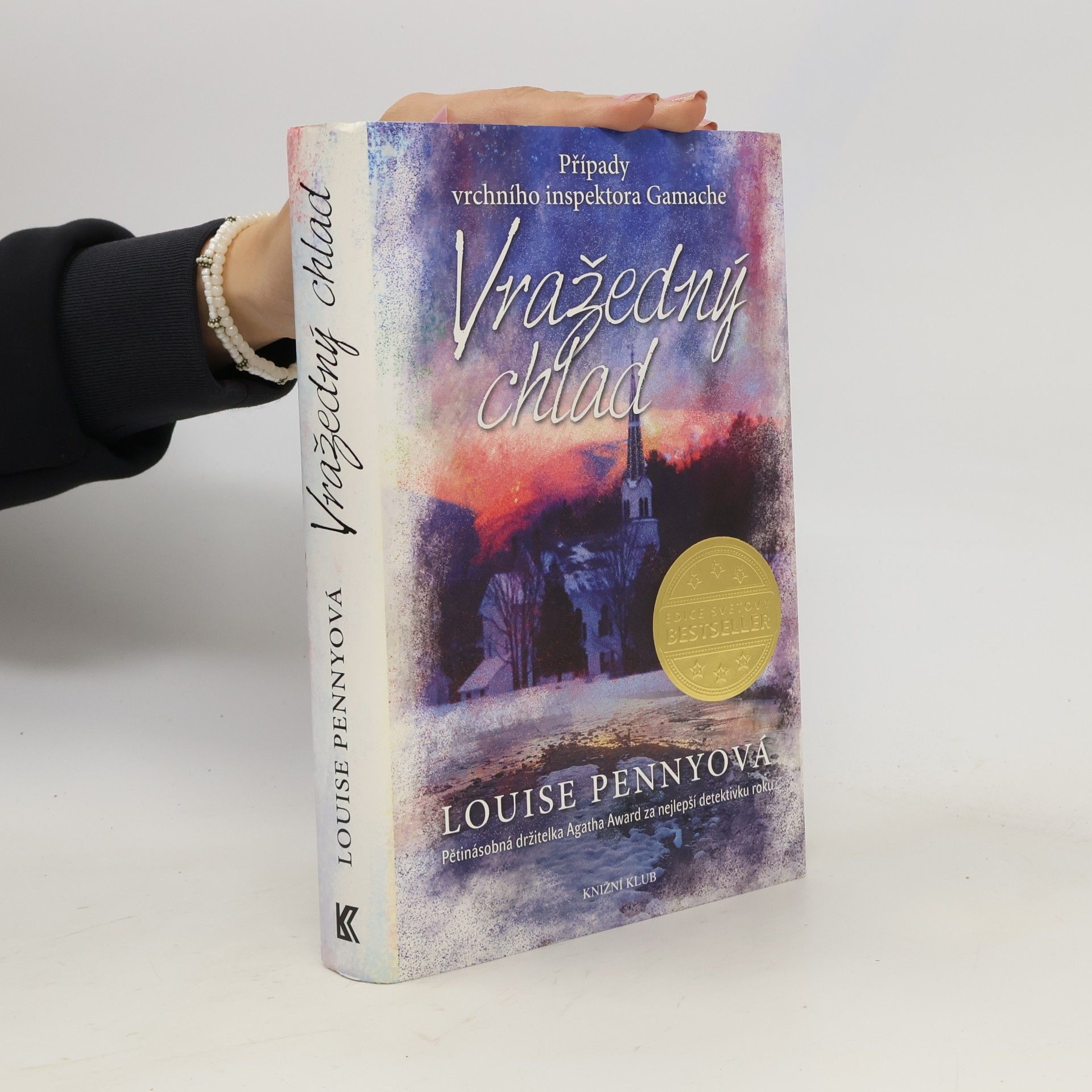 Louise Penny Vražedný chlad