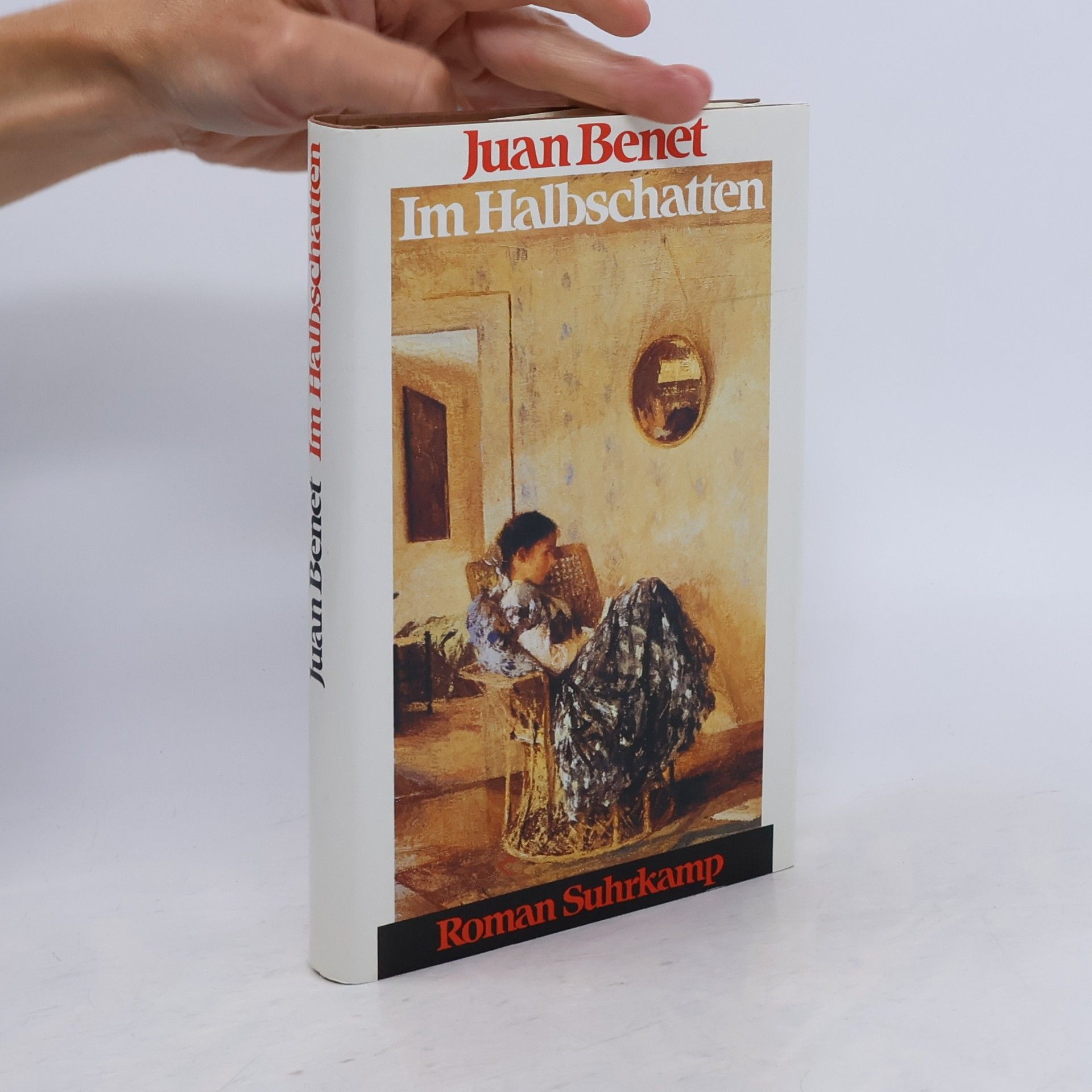 Gerhard Poppenberg Im Halbschatten. Roman