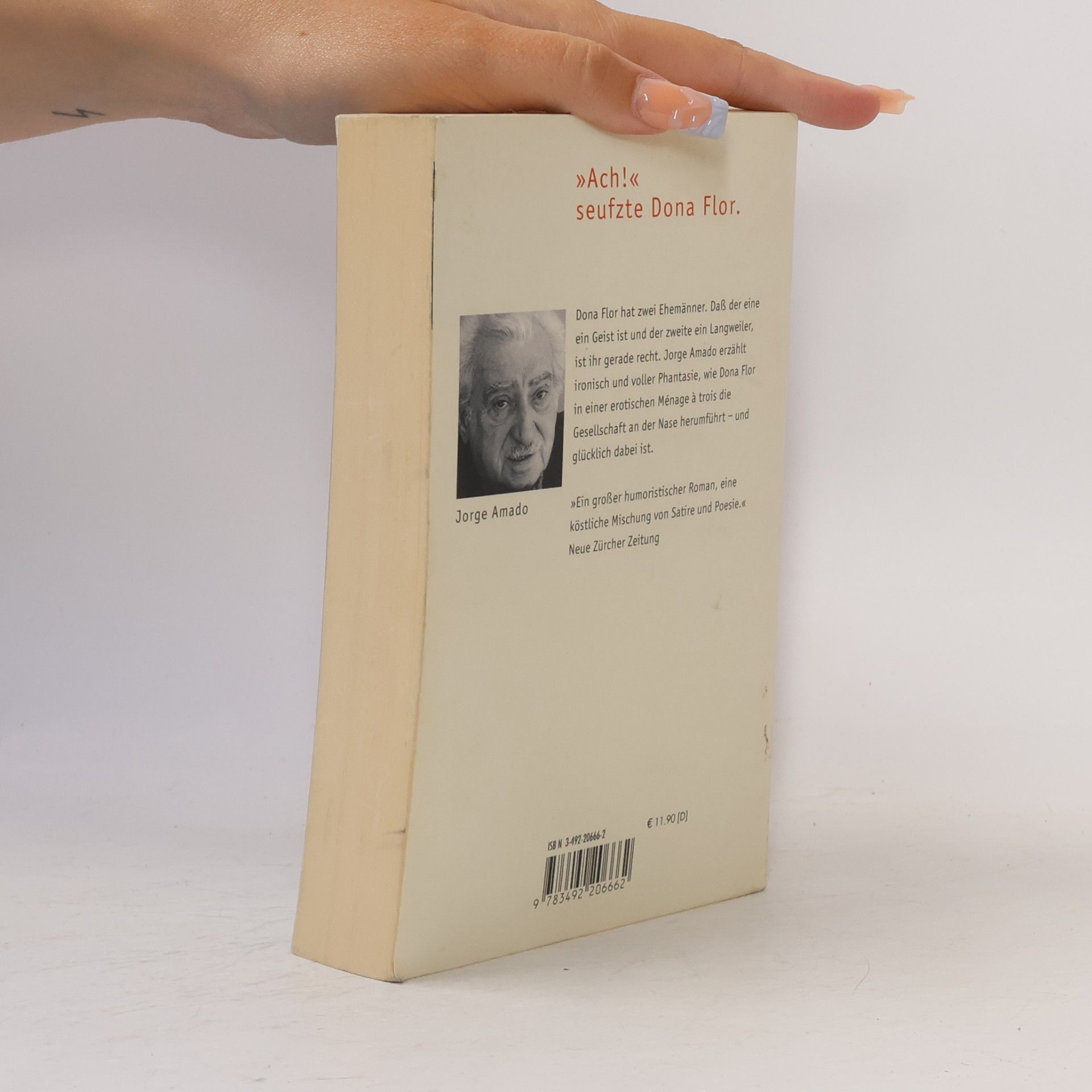 Jorge Amado Dona Flor und ihre zwei Ehemänner